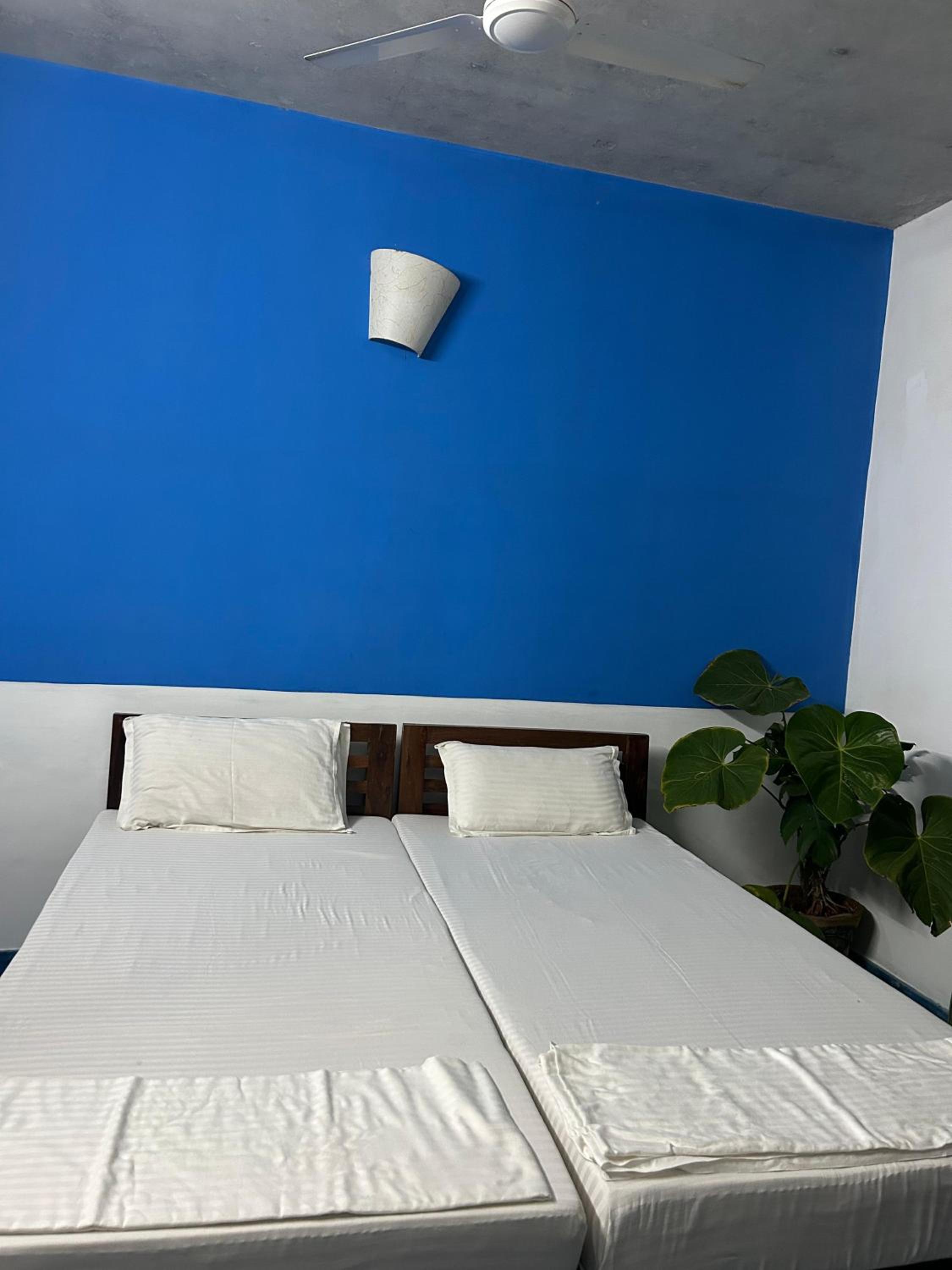 Samantha International The Ultimate Hostel Treat