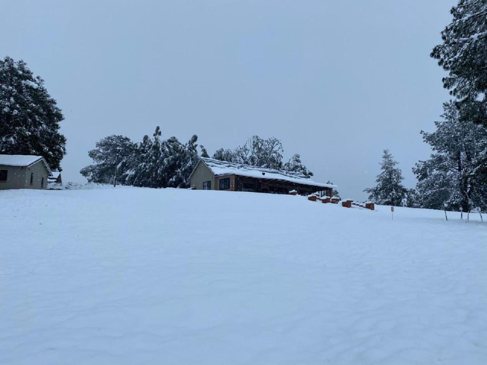 Fairfax Cottage