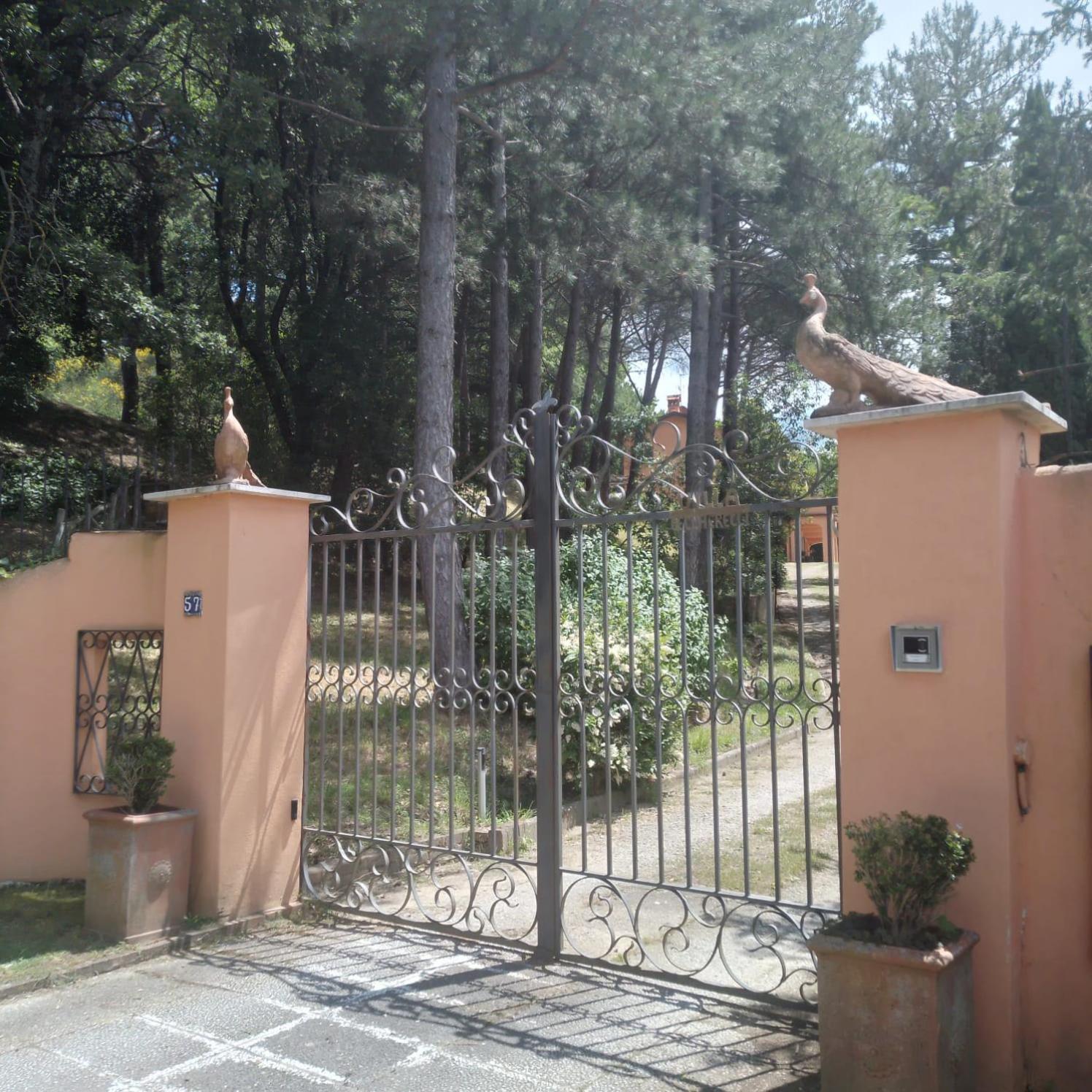 Villa el Pavo Real Arezzo photo 2