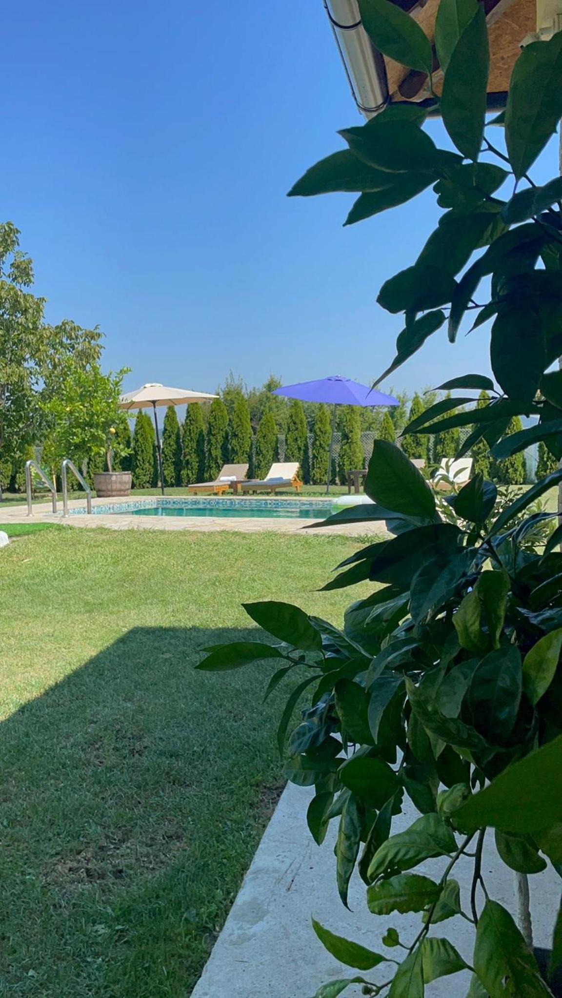 Slatinska idila - kuća sa bazenom view 4