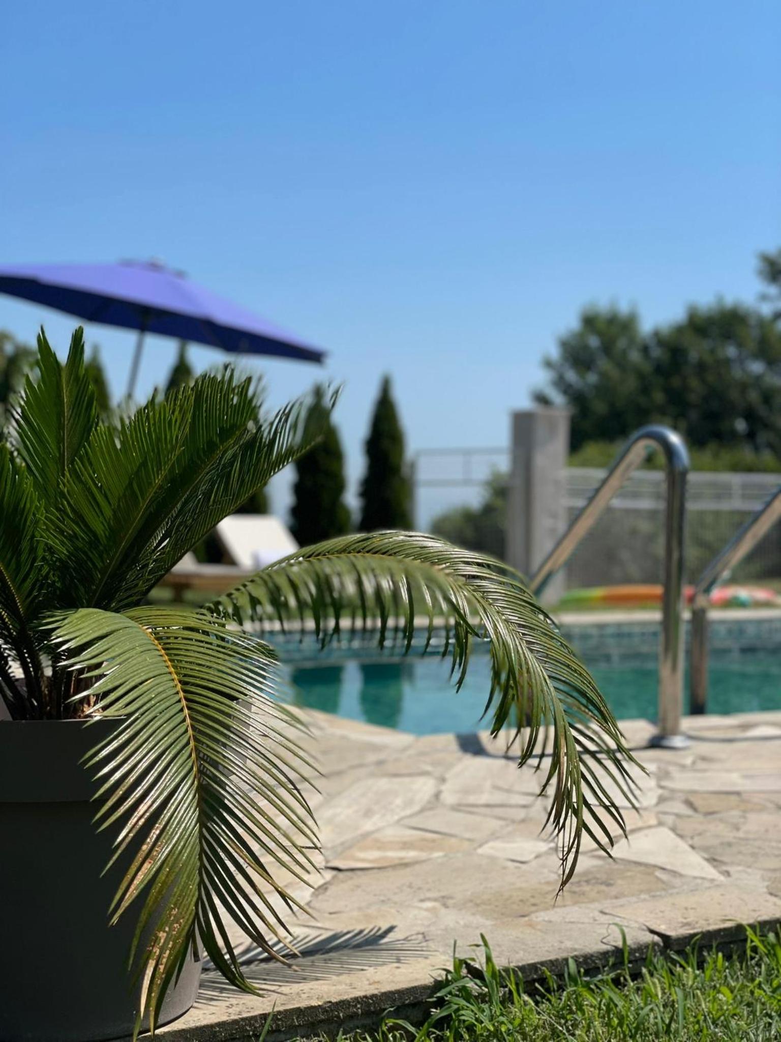 Slatinska idila - kuća sa bazenom view 3
