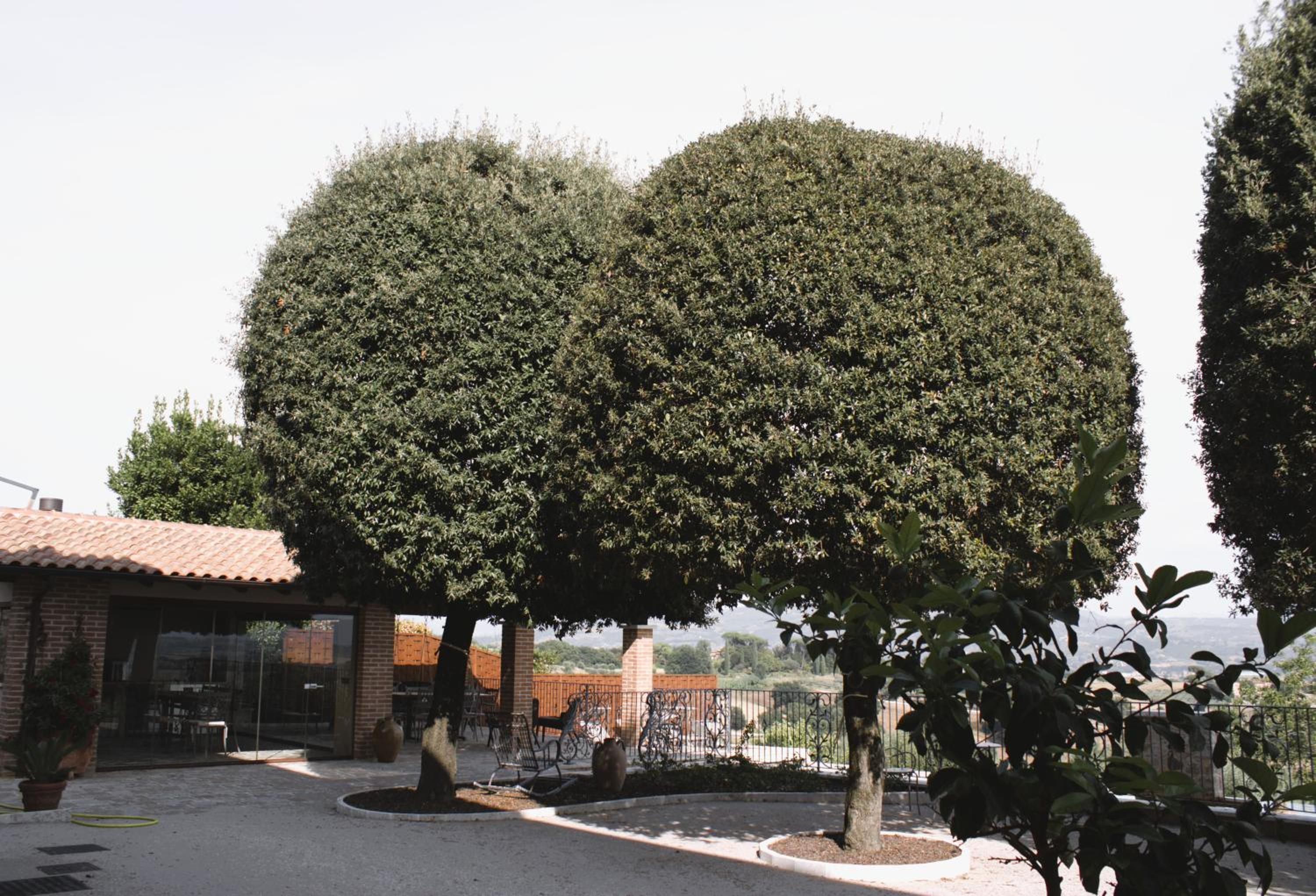 Agriturismo Taurus