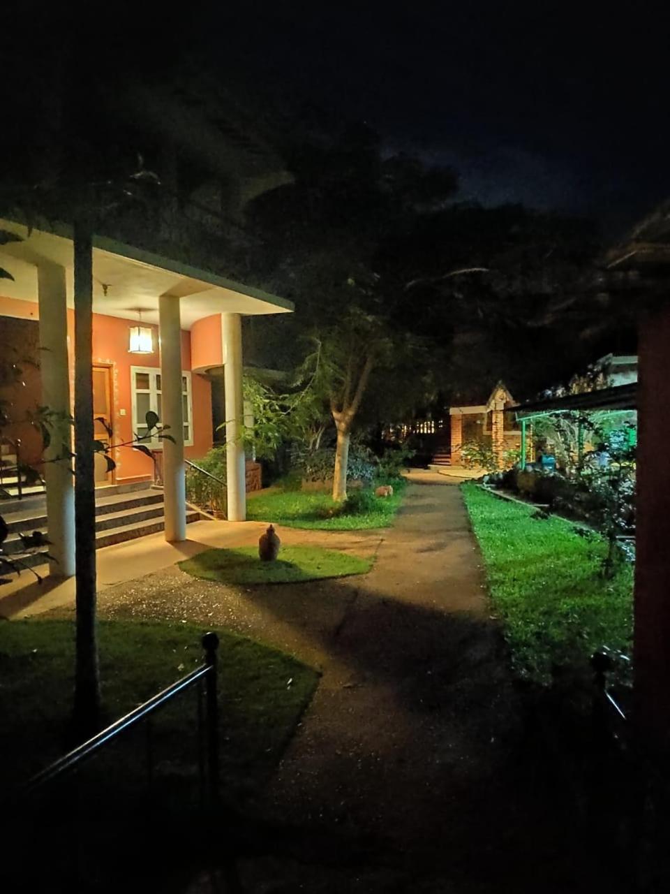 Photo 43