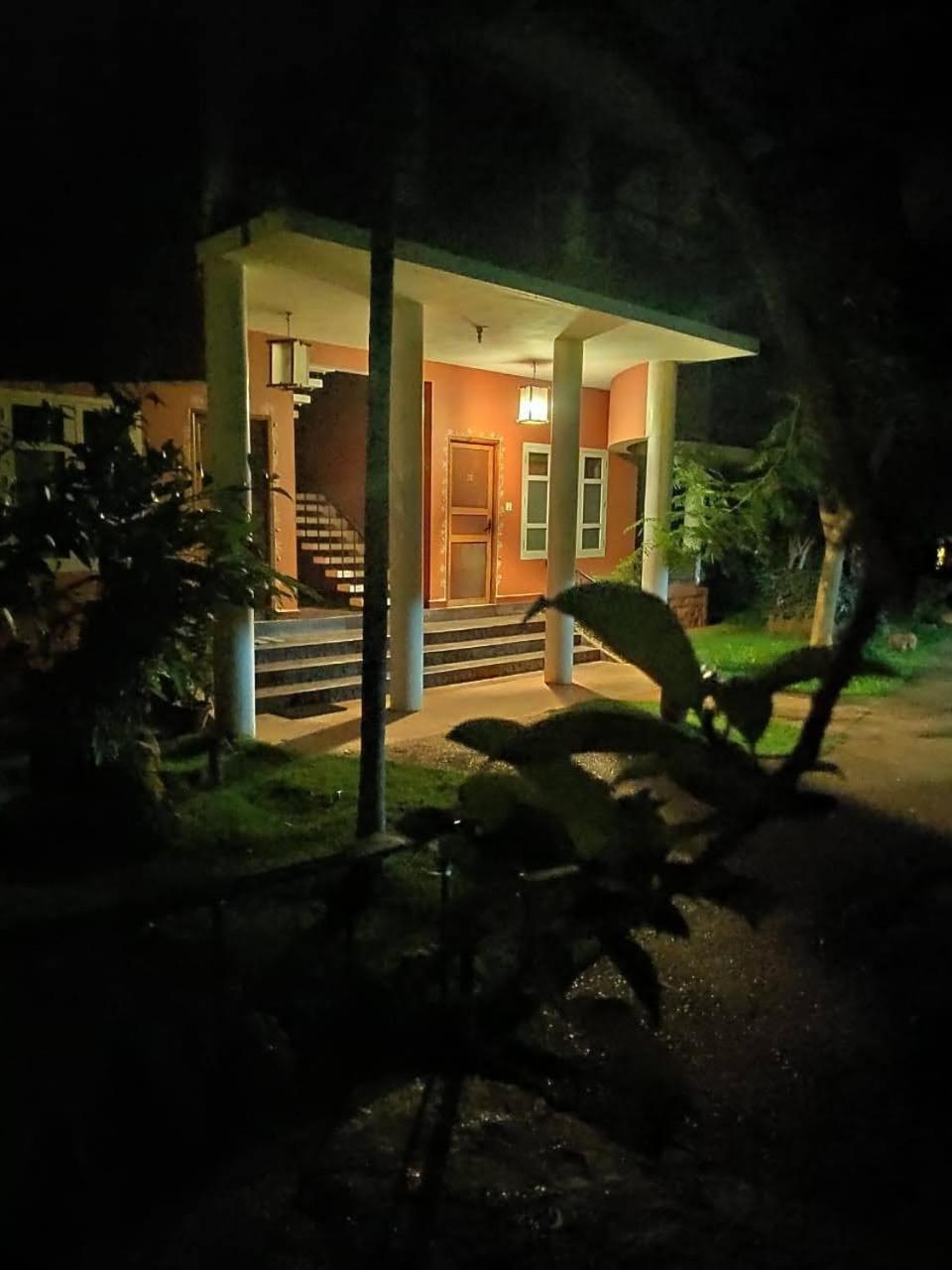 Photo 44