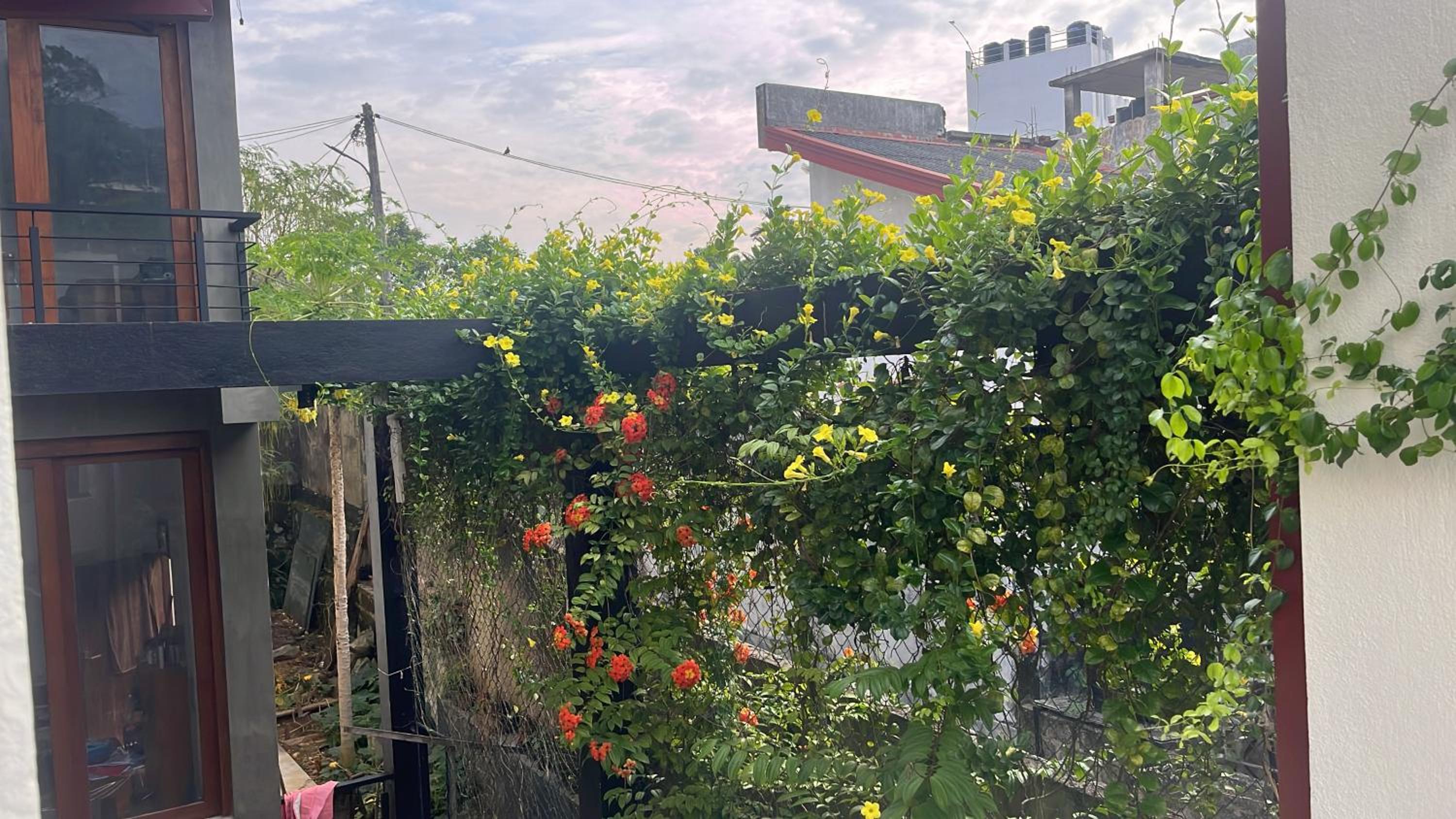 Richmond Home stay view 2