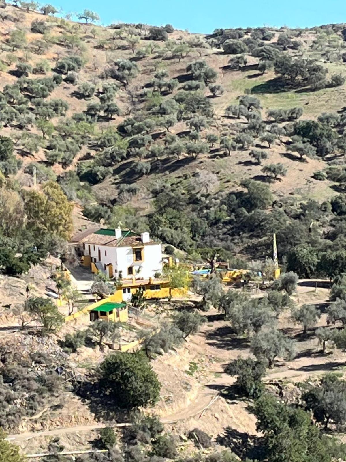 Cortijo Lagar Grande