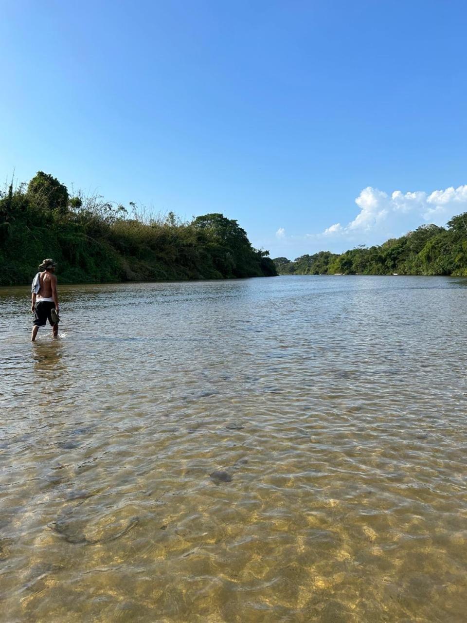 Tierra de agua Palomino