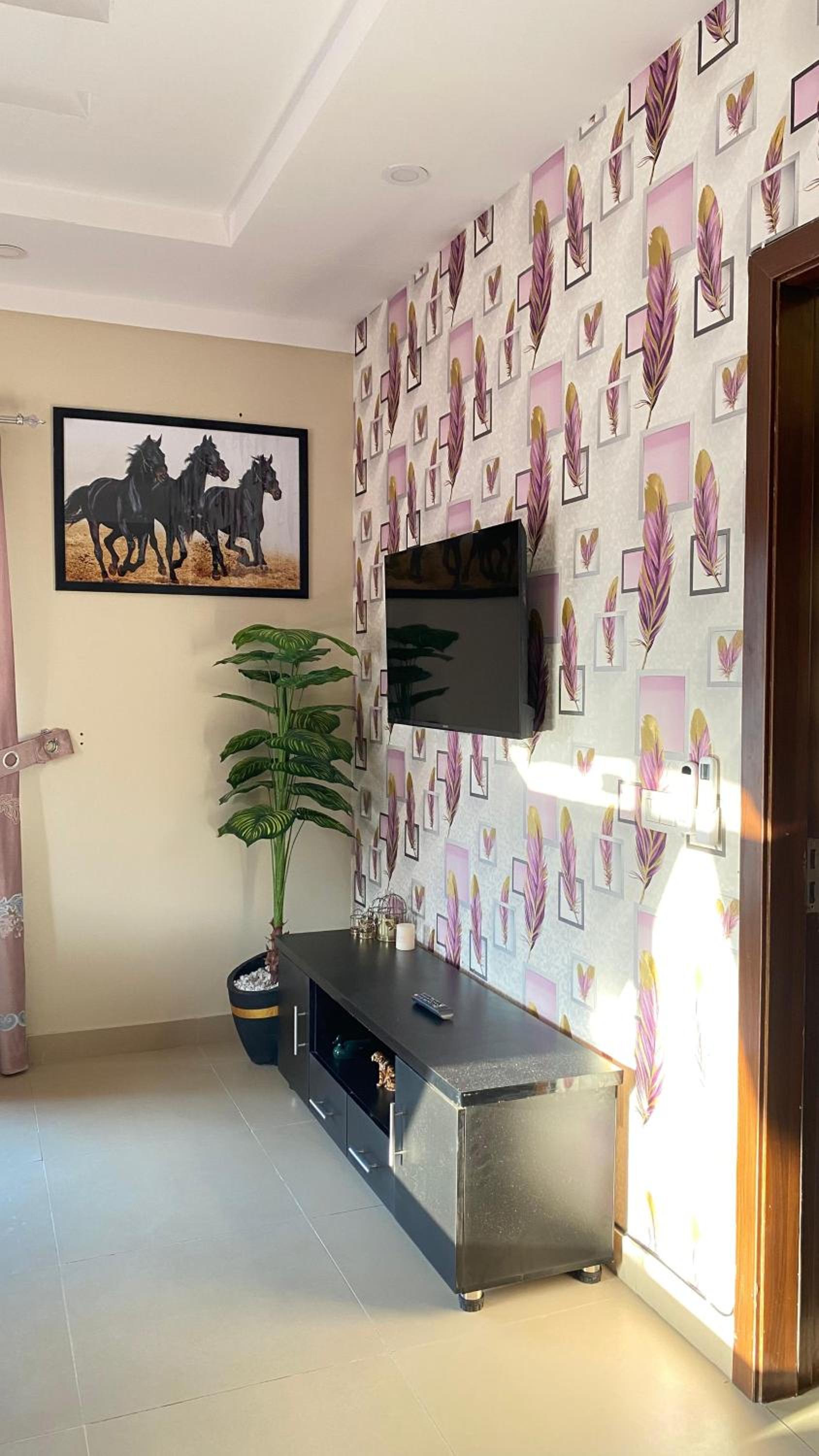 Comfortably Equipped 1BHK Living view 4