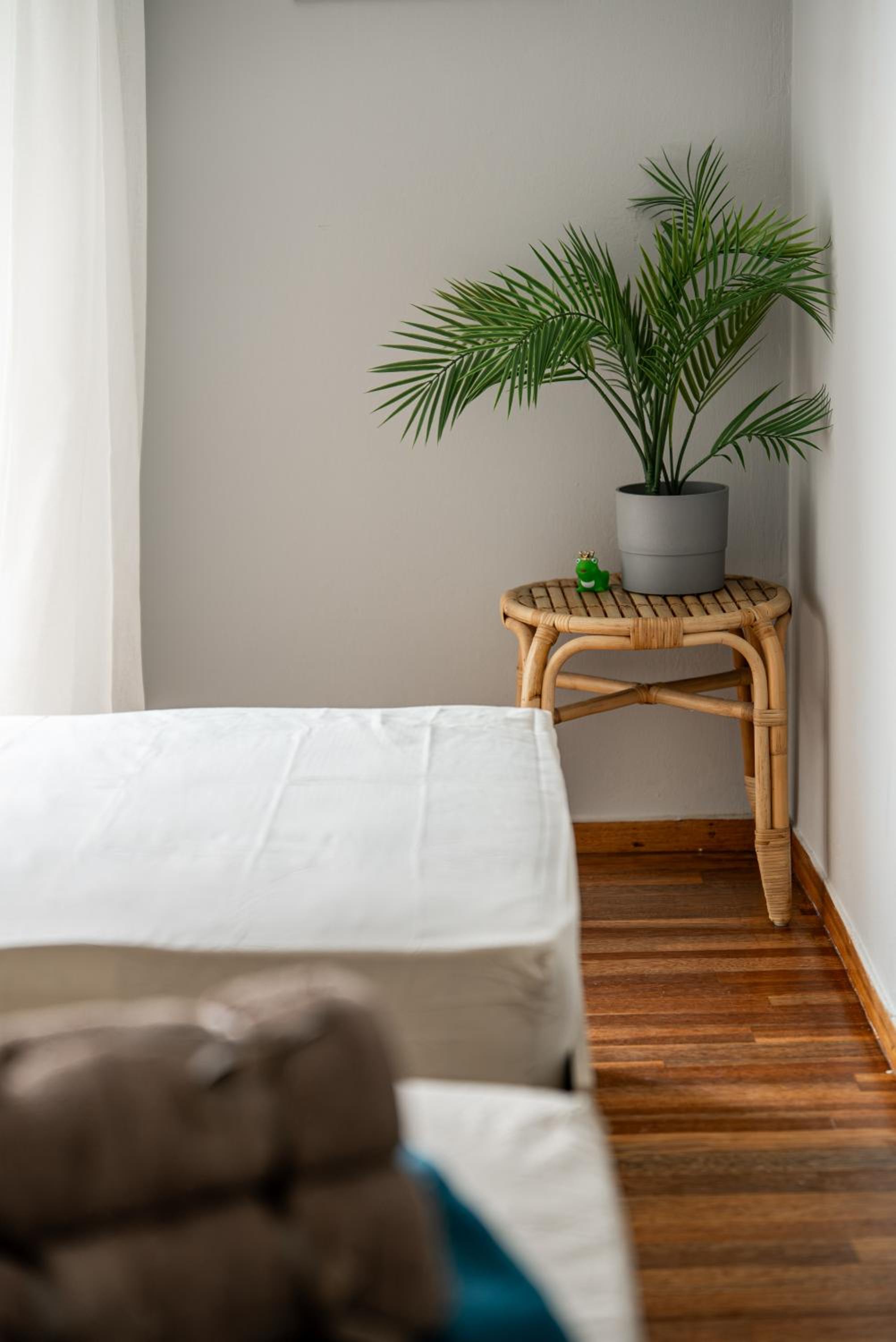 big practical economic apartment