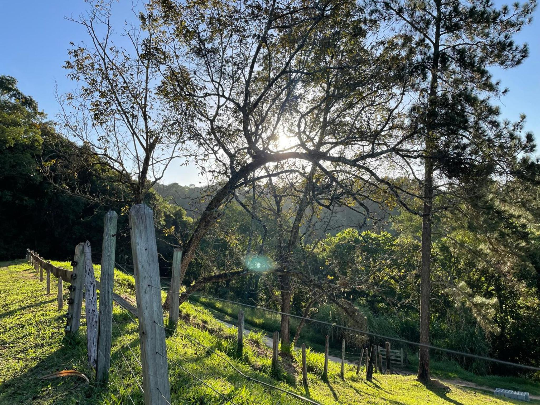 Pauapique - Suítes com café da manhã, ar condicionado e frigobar à 900 metros da Rota do Vinho