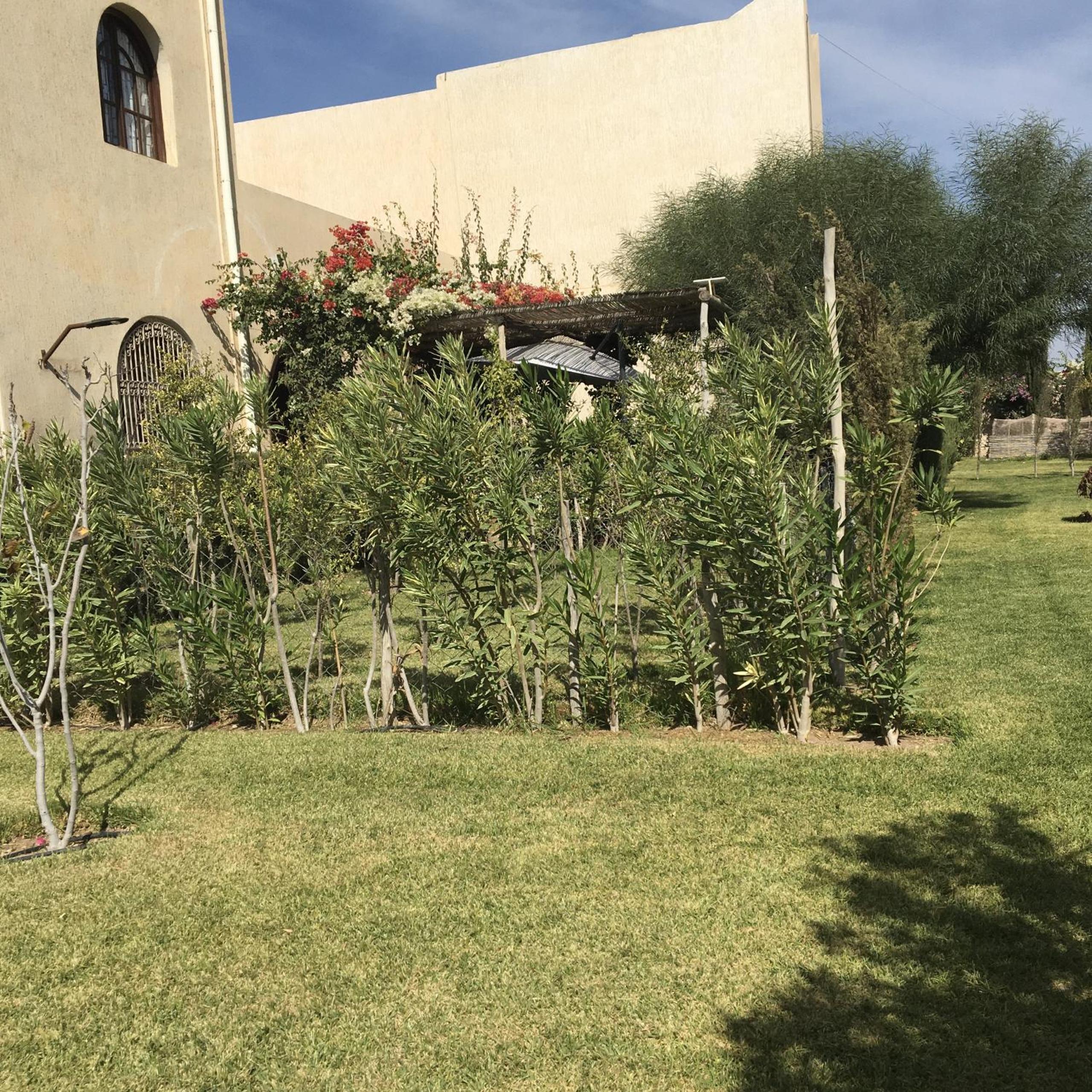 Photo 127