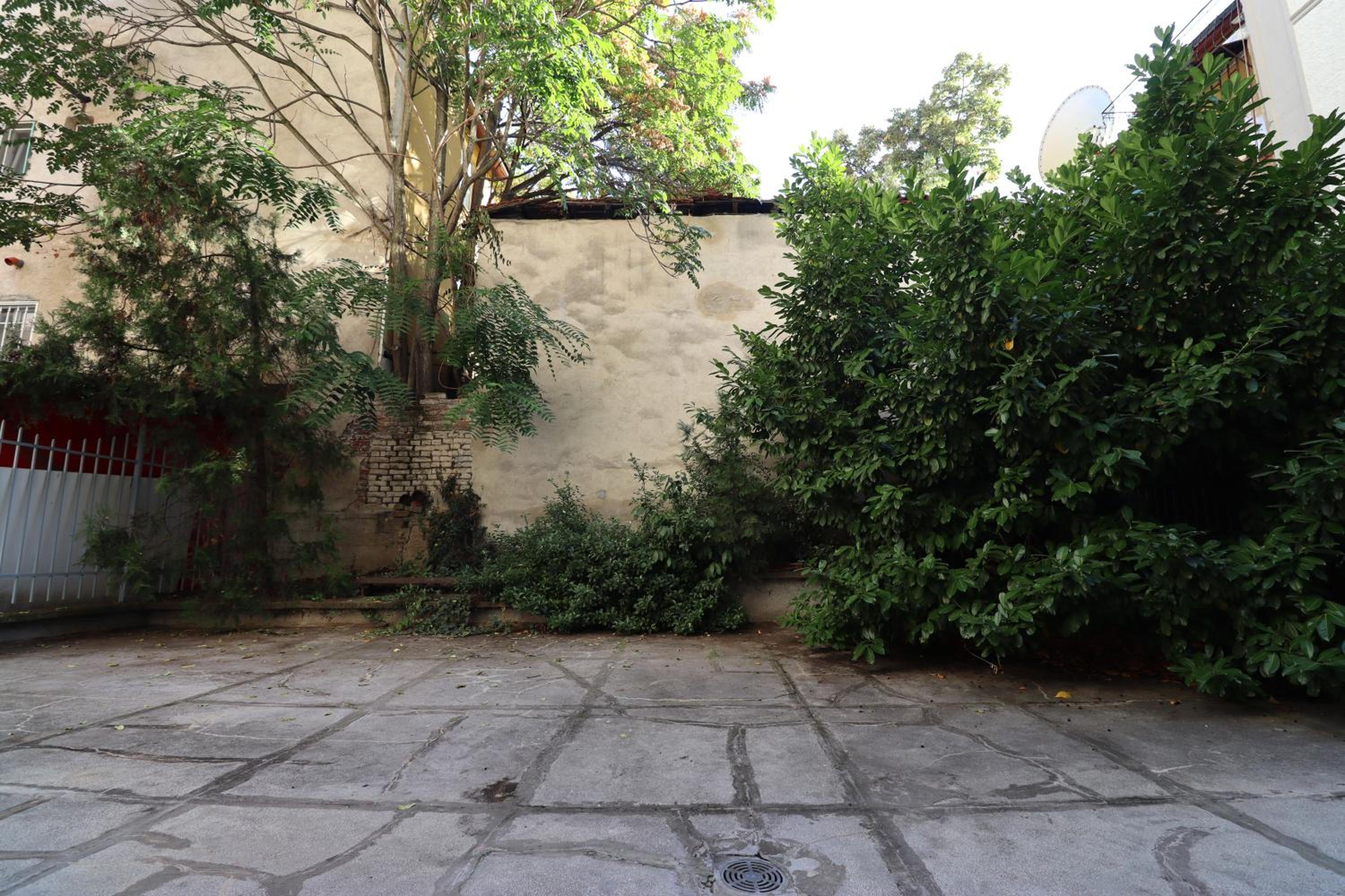 NEW Oasis in the heart of Sofia