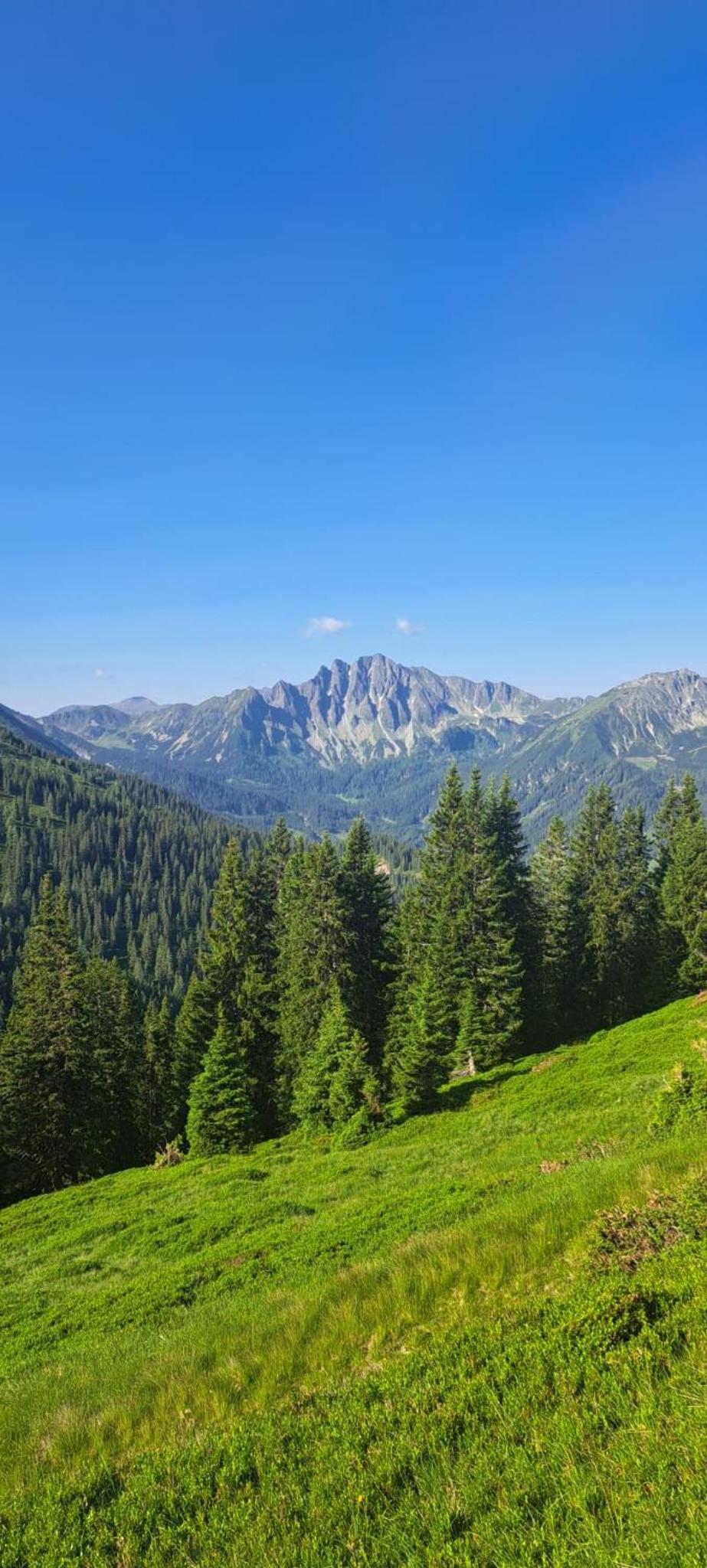 Gemütliches Ferienhaus mit Holzofen und Sauna