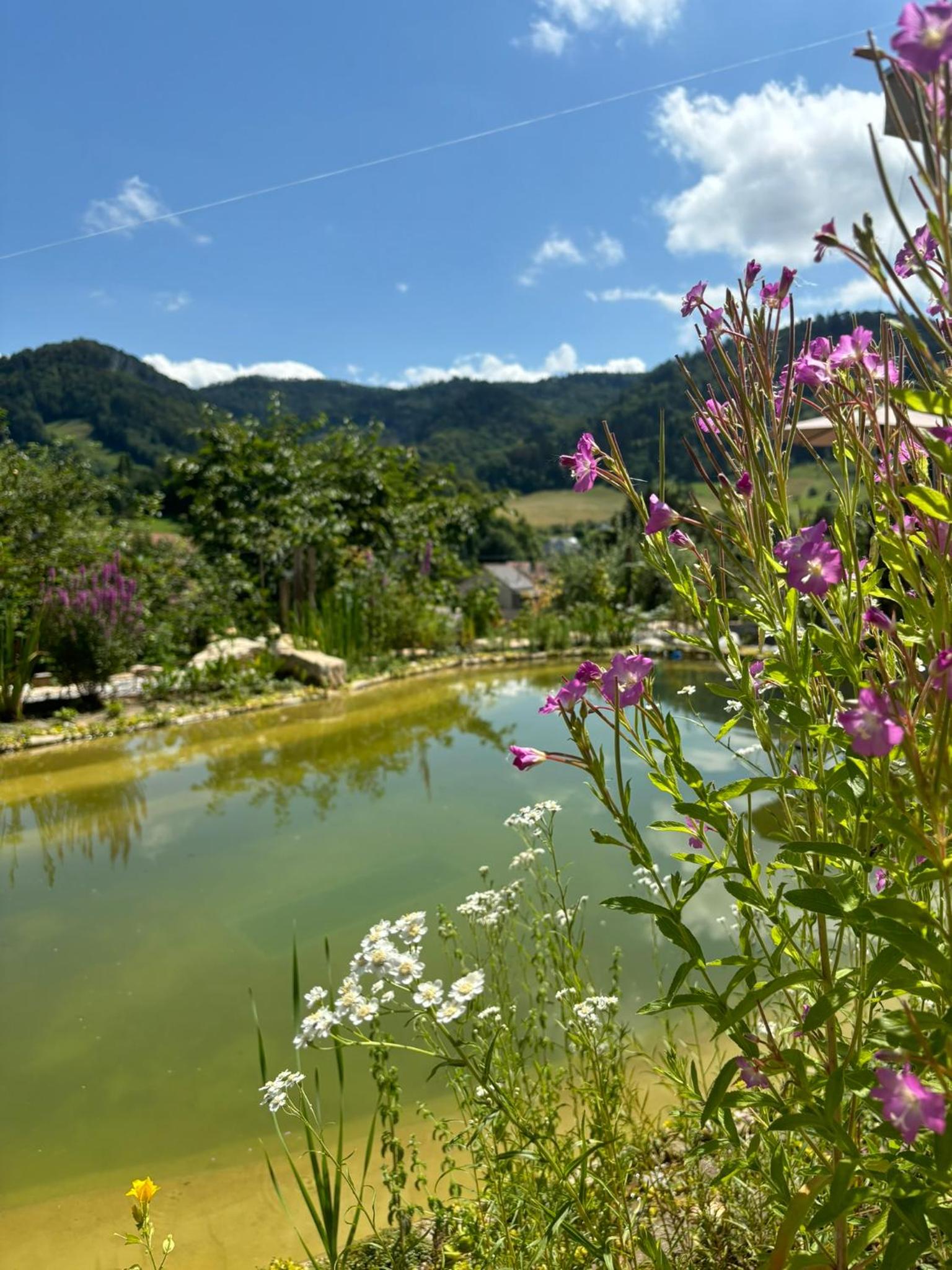Chez Svanette B&B Villa Sonnglück