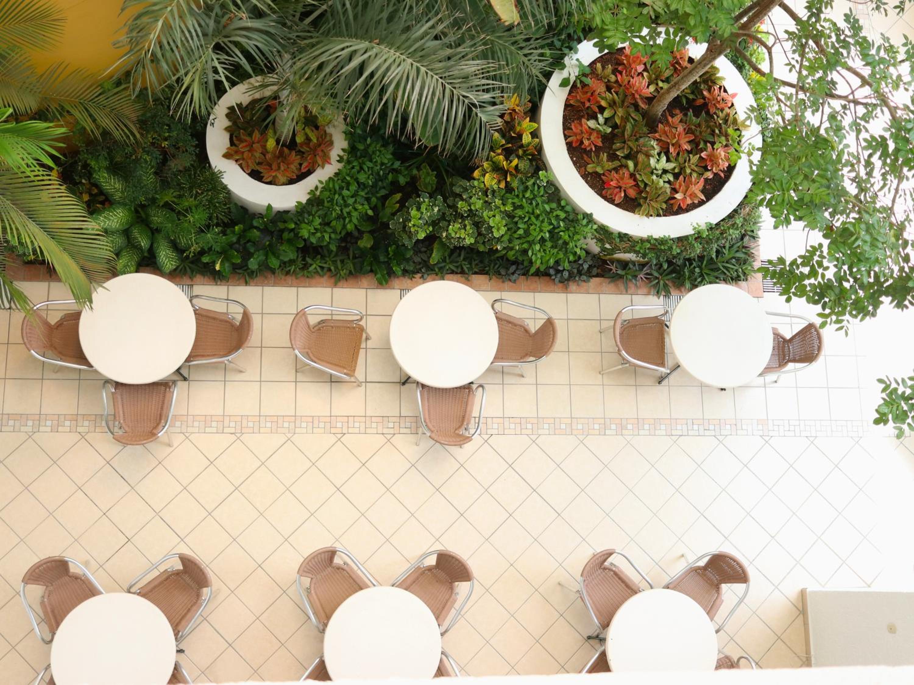 Casa Mexicana Cozumel - Property Image 18