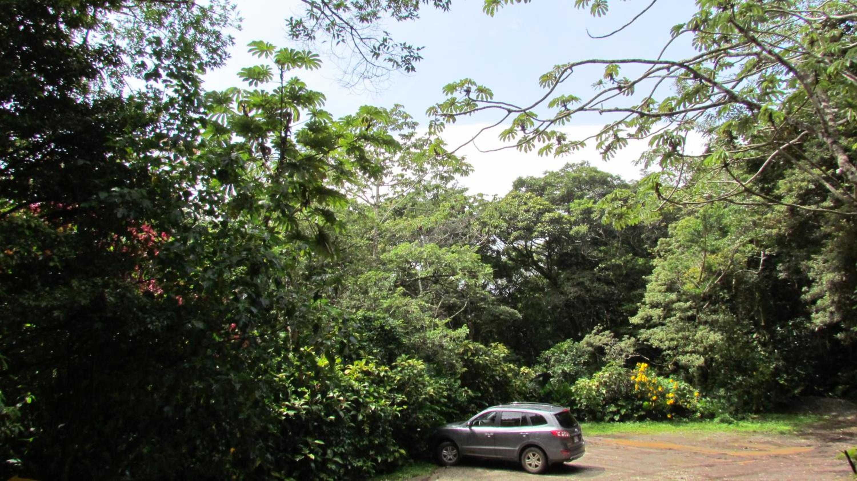 Santuario Ecologico Monteverde