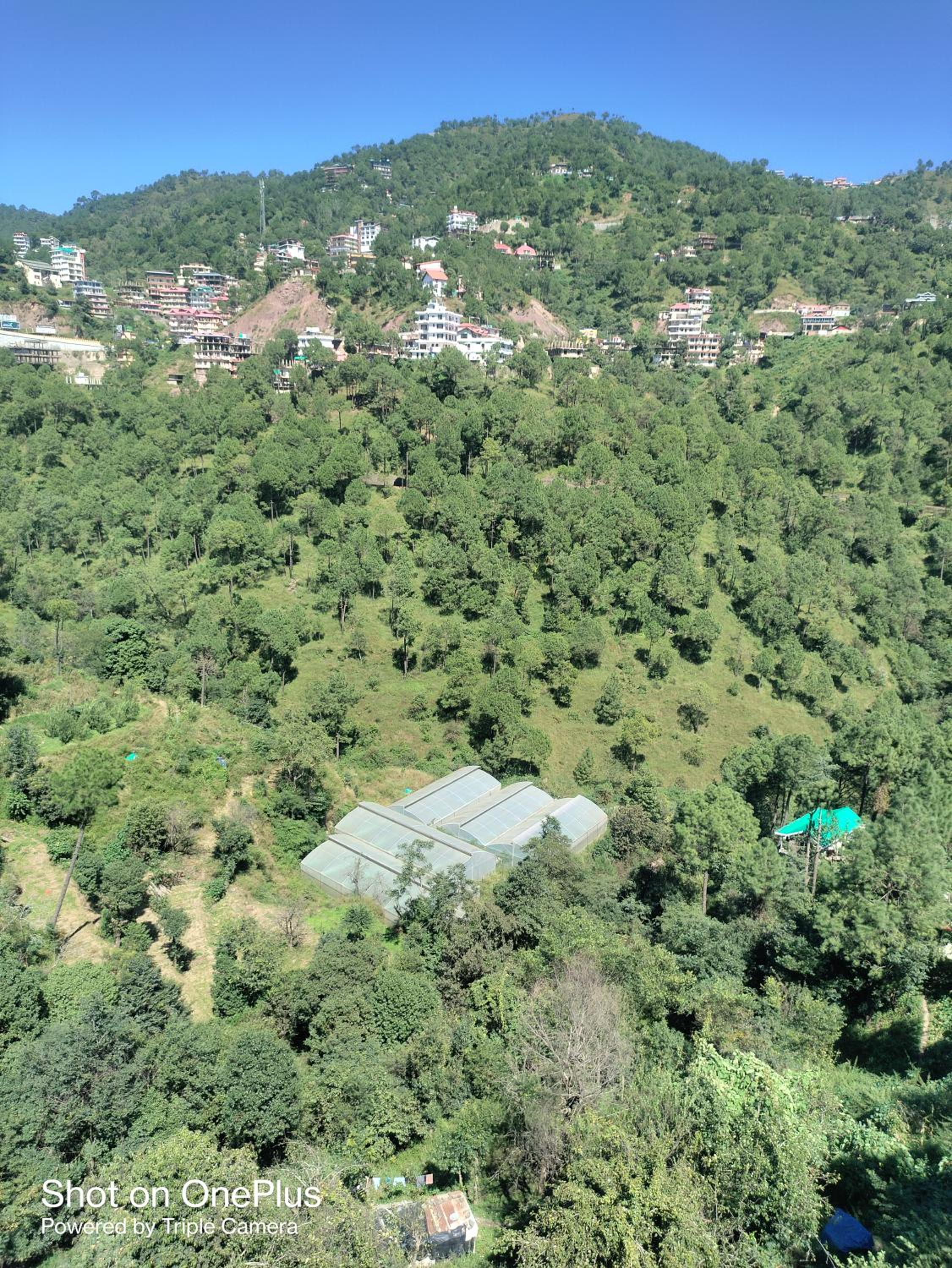 Himalayan House