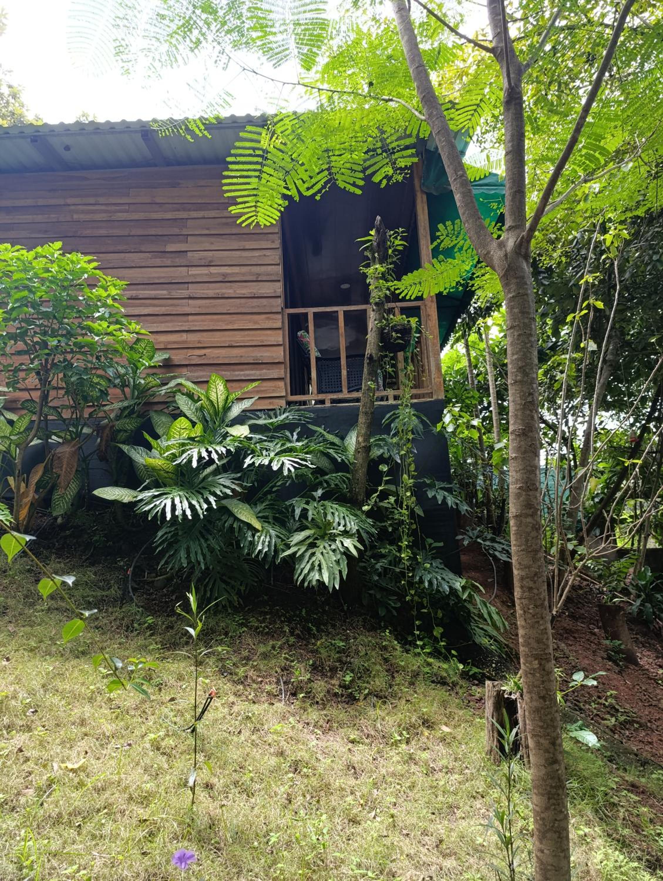 Cabañas Los Jobos