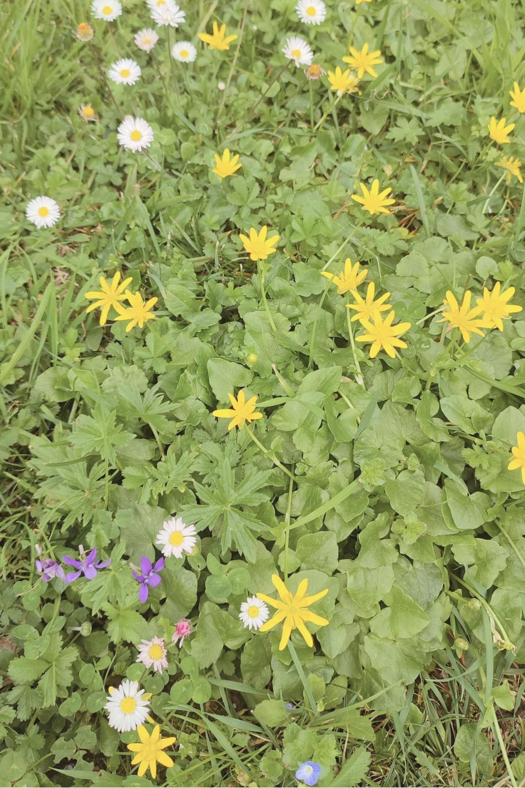 Photo 46