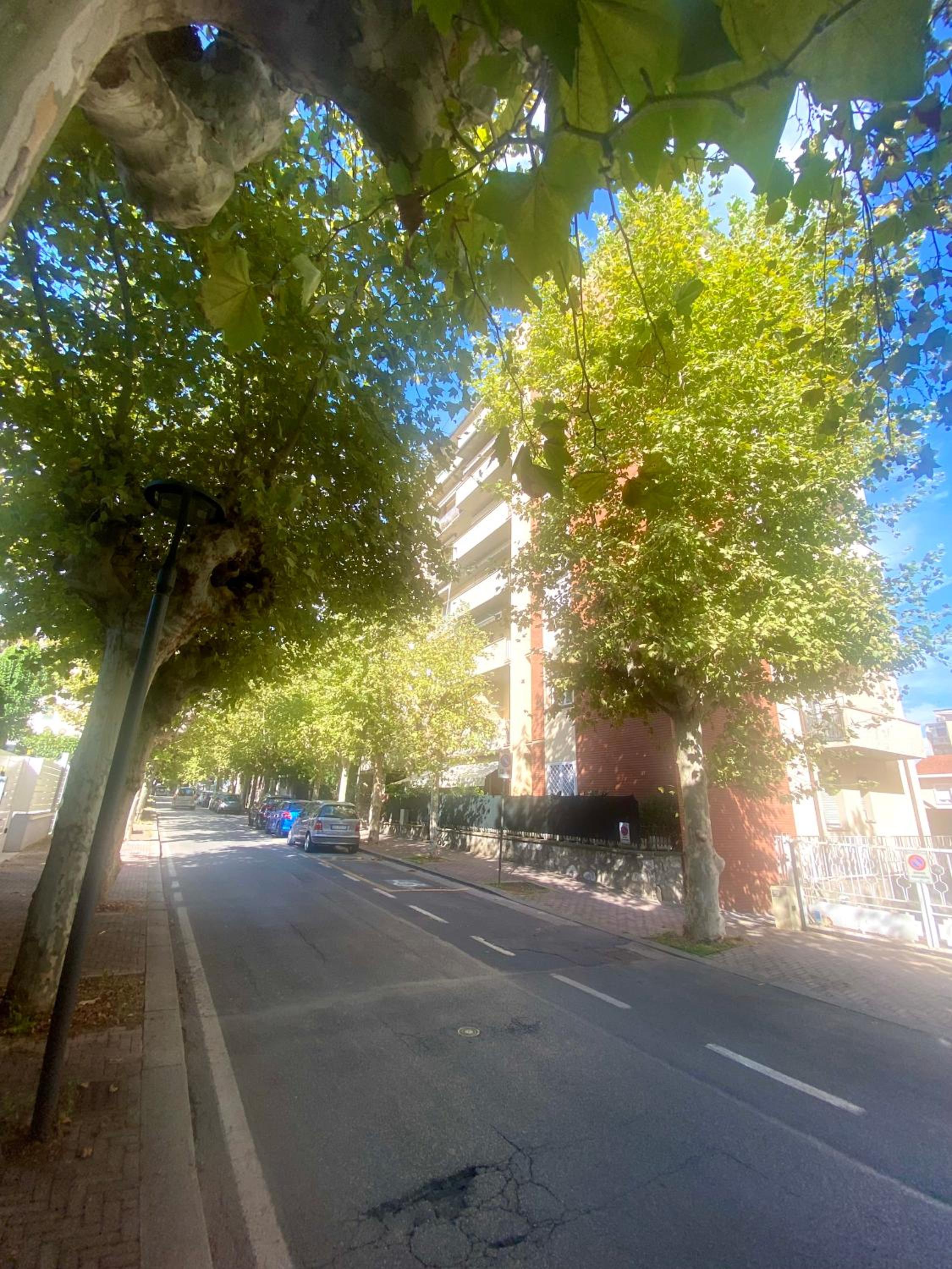 Il Cantuccino view 2