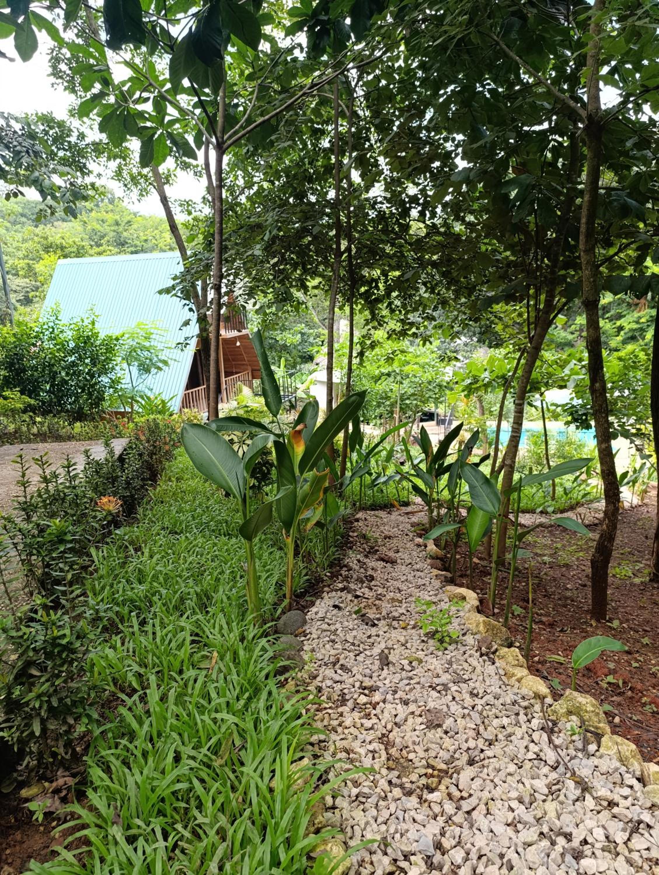 Cabañas Los Jobos