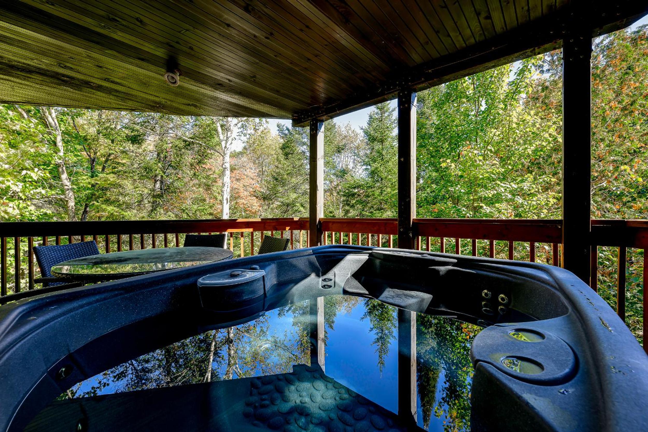 Chalet Suisse, SPA, Billard, Ski et Montagne