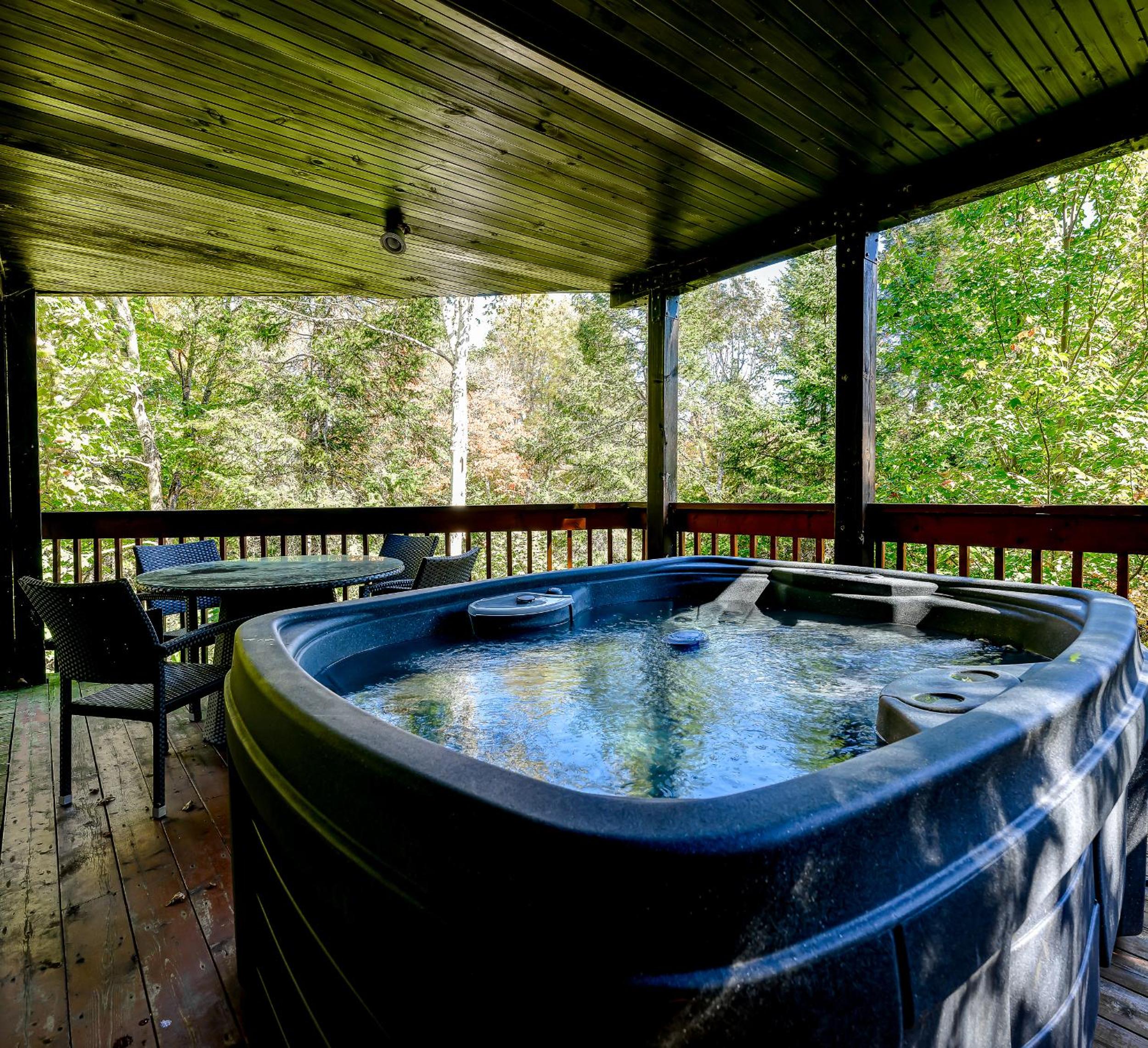 Chalet Suisse, SPA, Billard, Ski et Montagne
