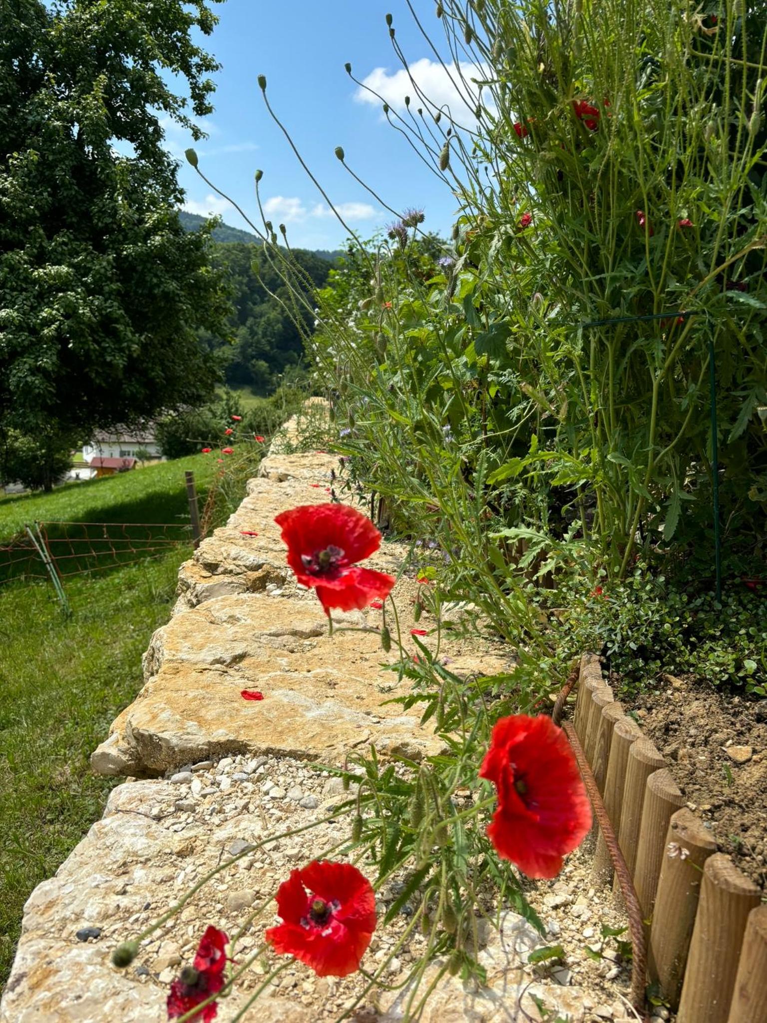 Chez Svanette B&B Villa Sonnglück
