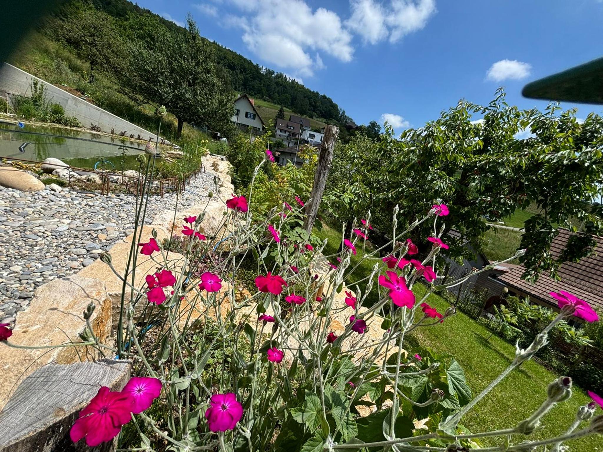 Chez Svanette B&B Villa Sonnglück