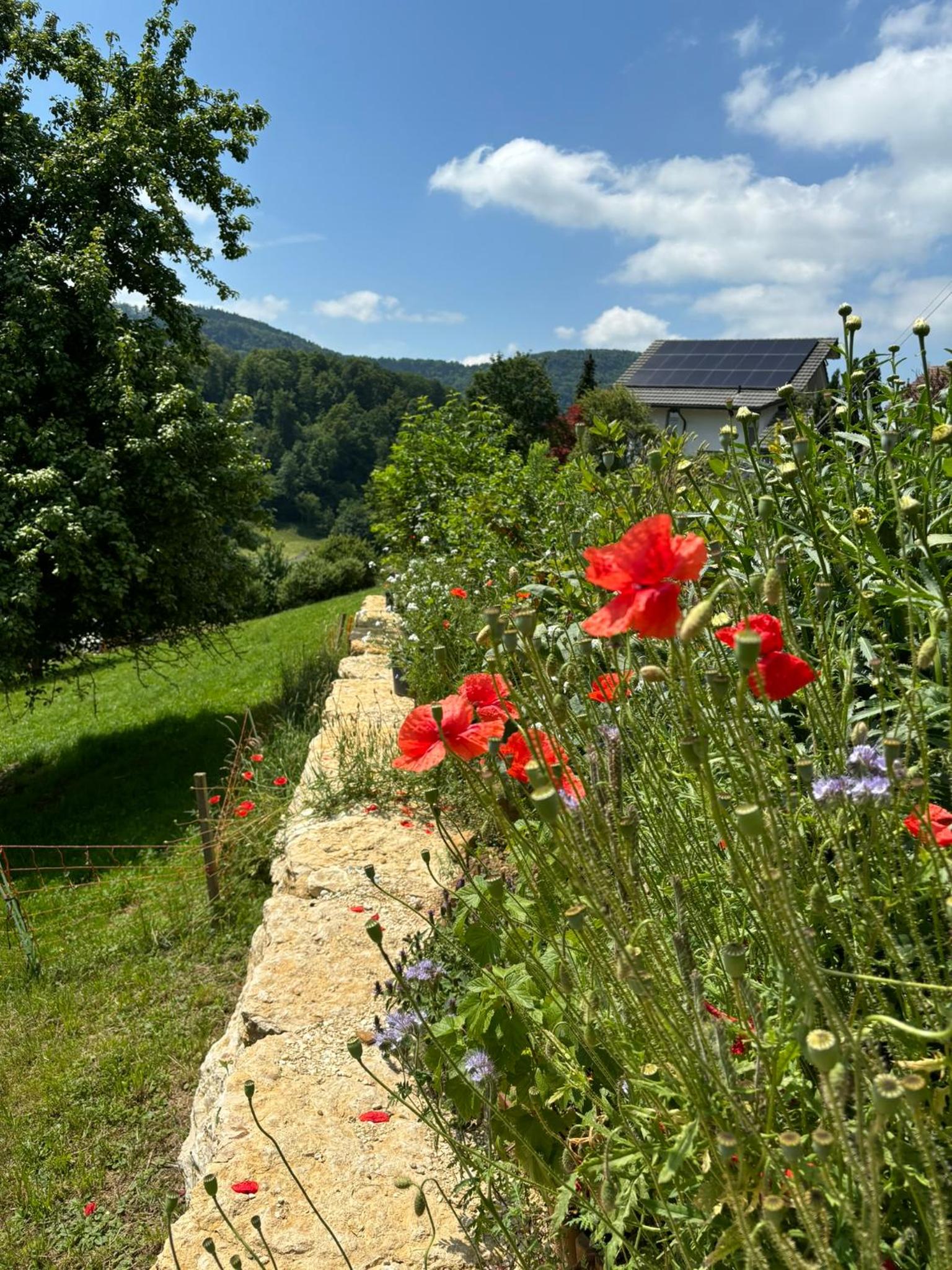 Chez Svanette B&B Villa Sonnglück