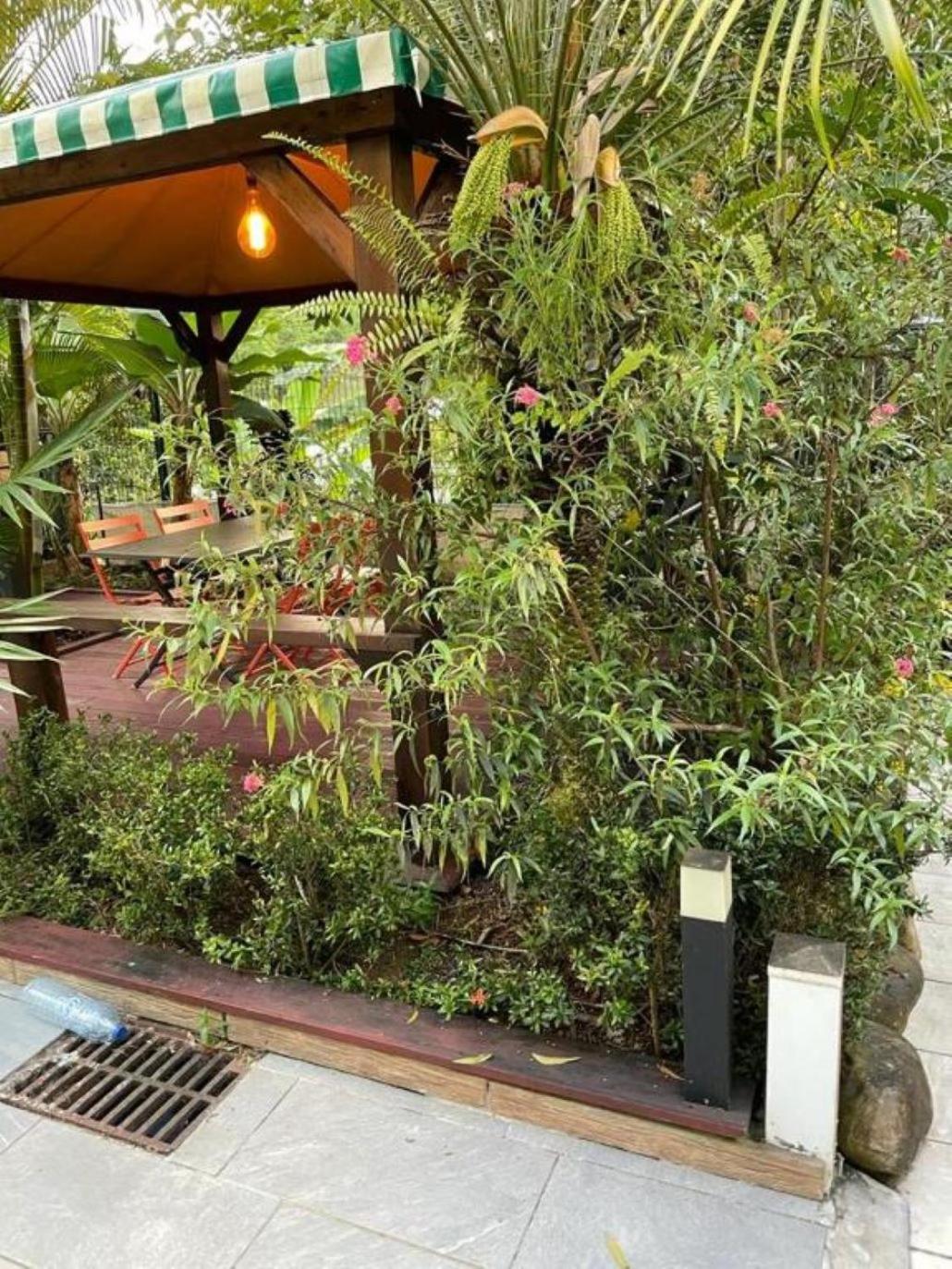 Le Refuge Vert view 3