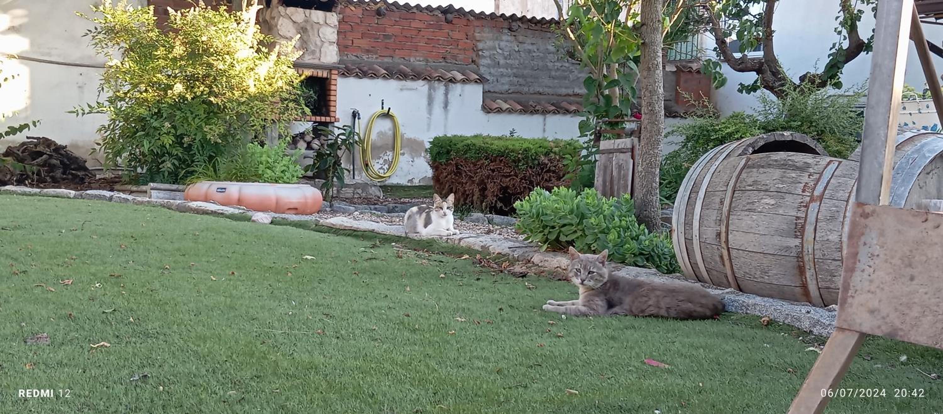 CasaLaFrancesa - Guma