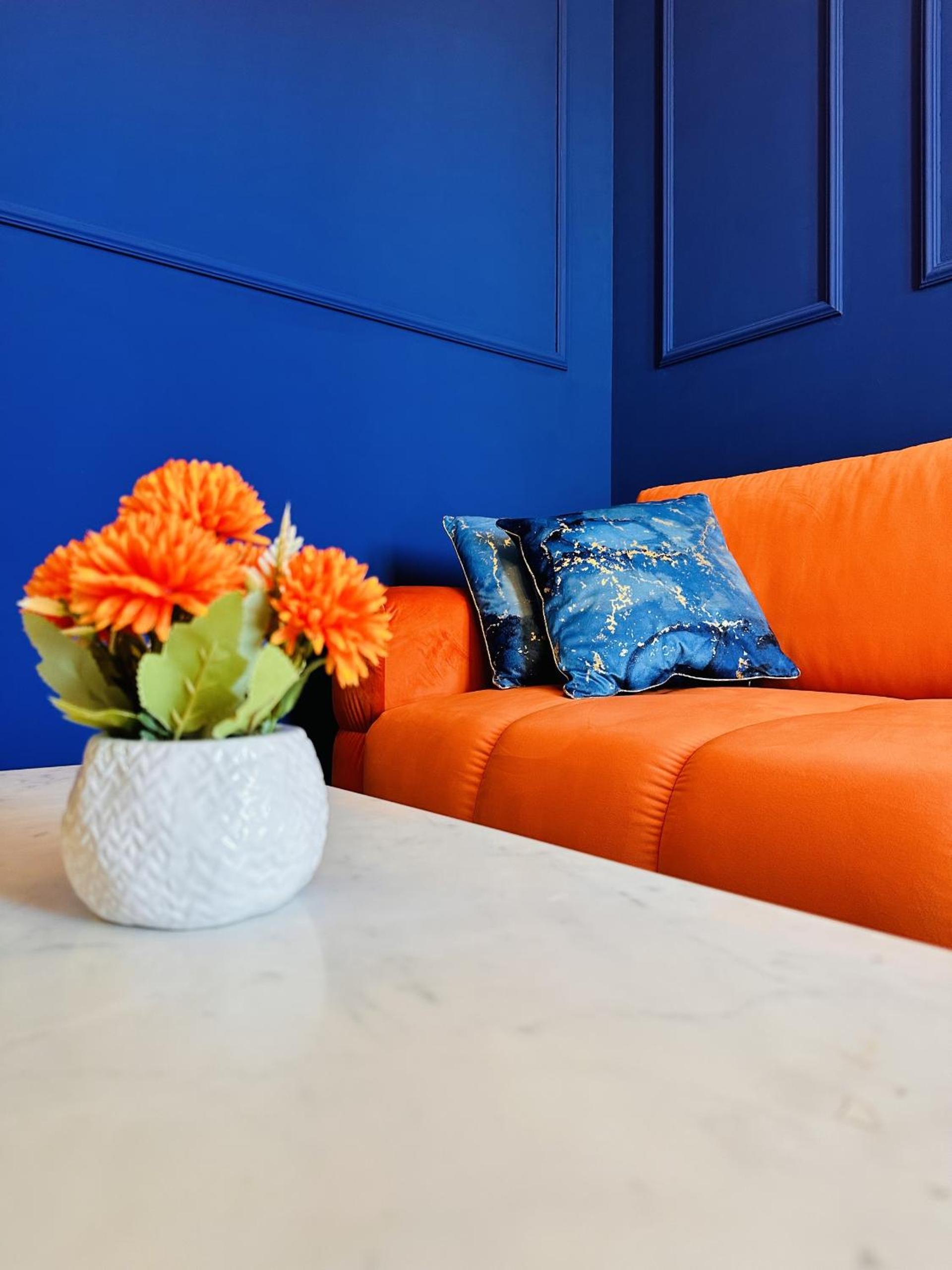 Indigo Royale apartman Borovi