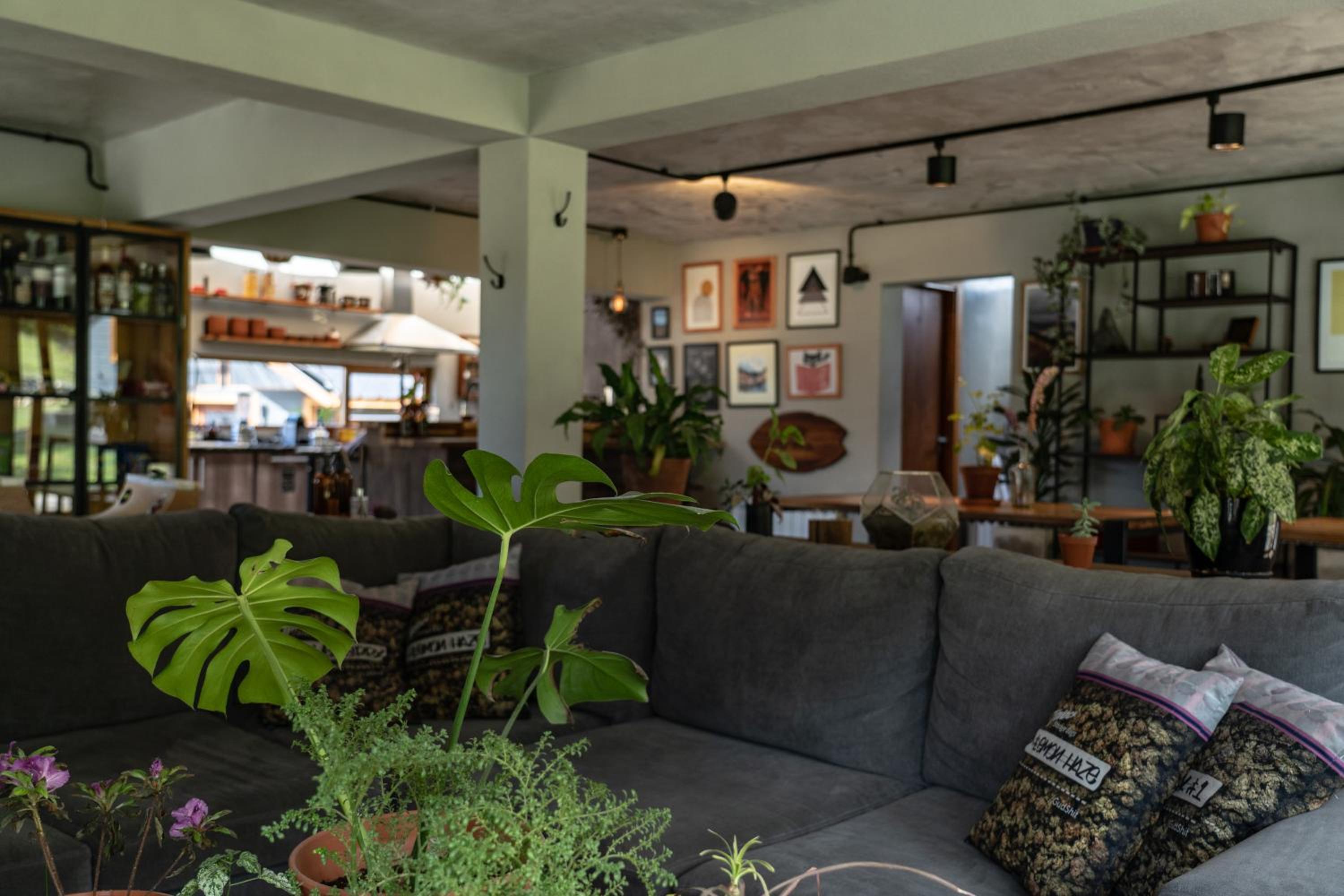 La Finca Hostel De Montaña - Habitación Palmera - Image 2