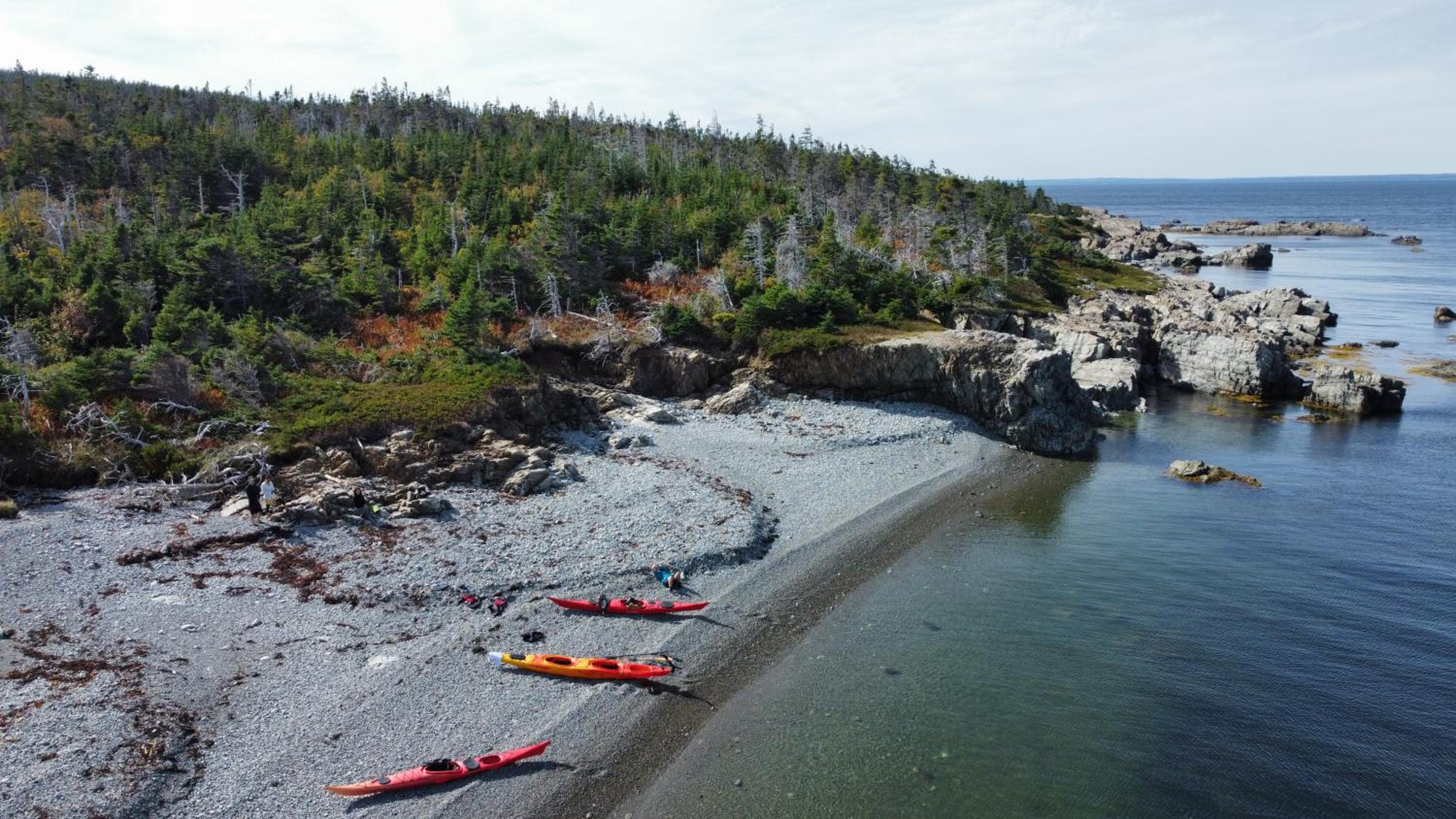 Cove & Sea Cabin