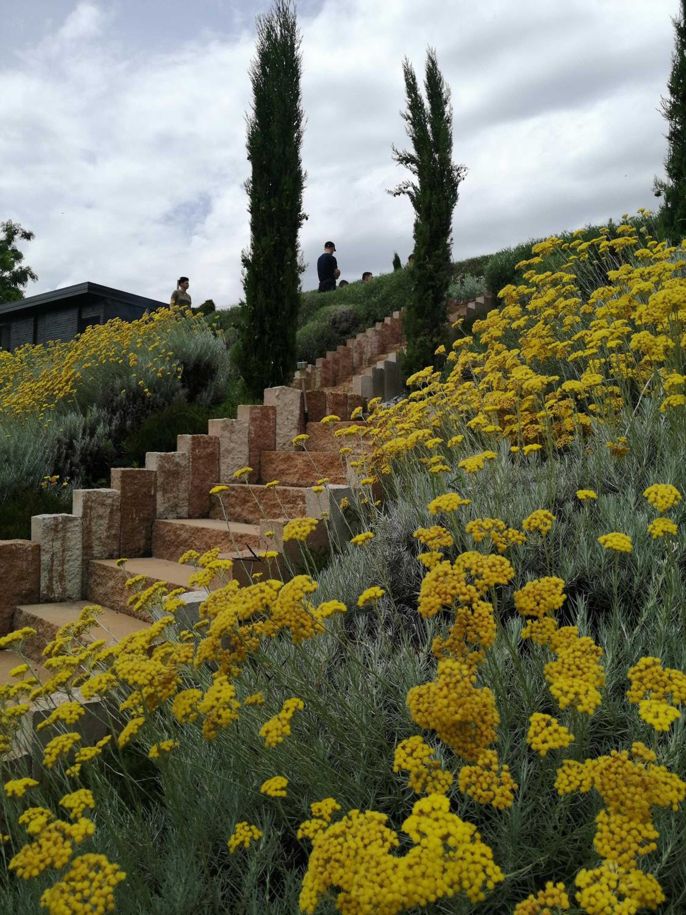 HillTop House