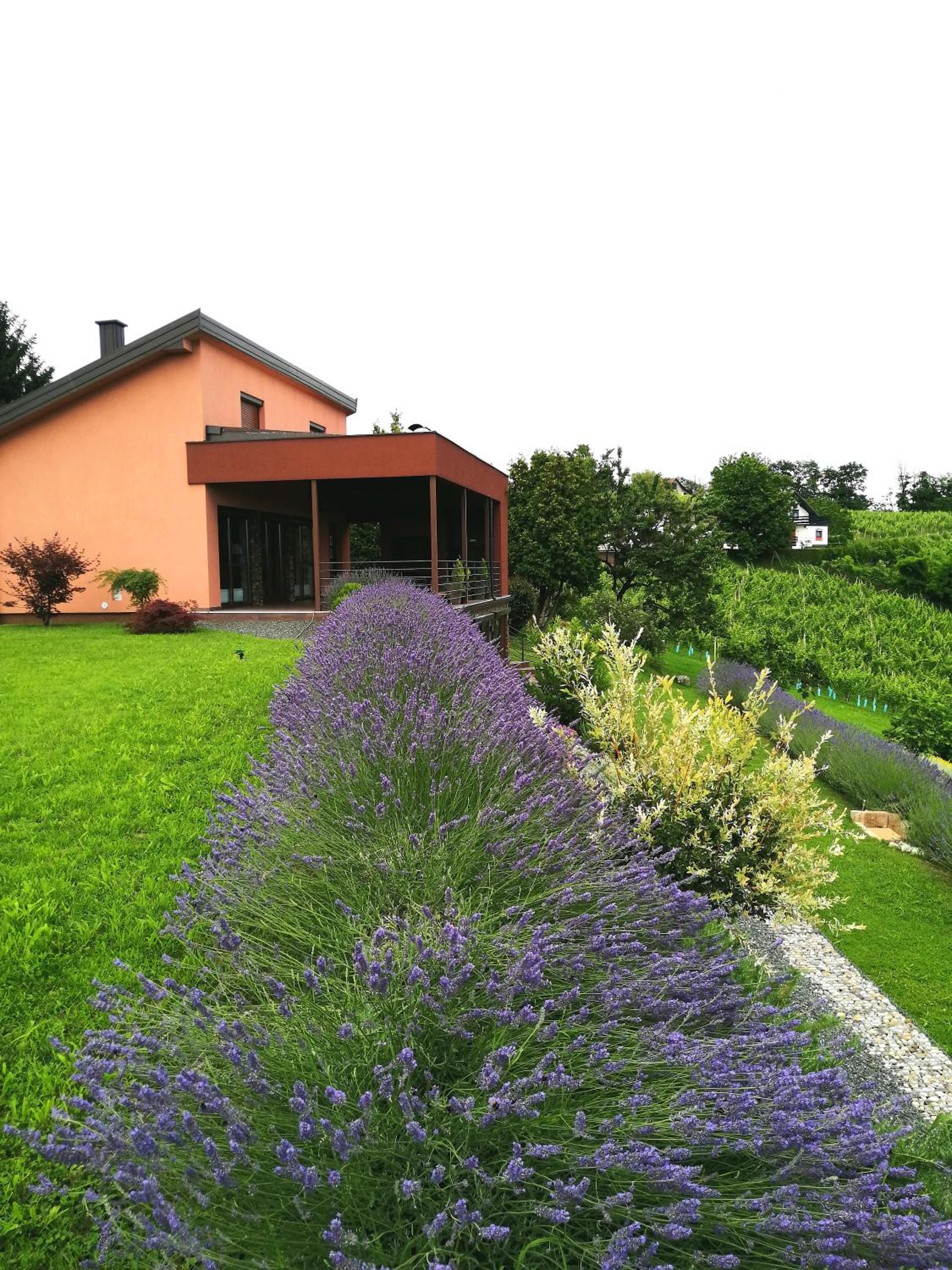 HillTop House