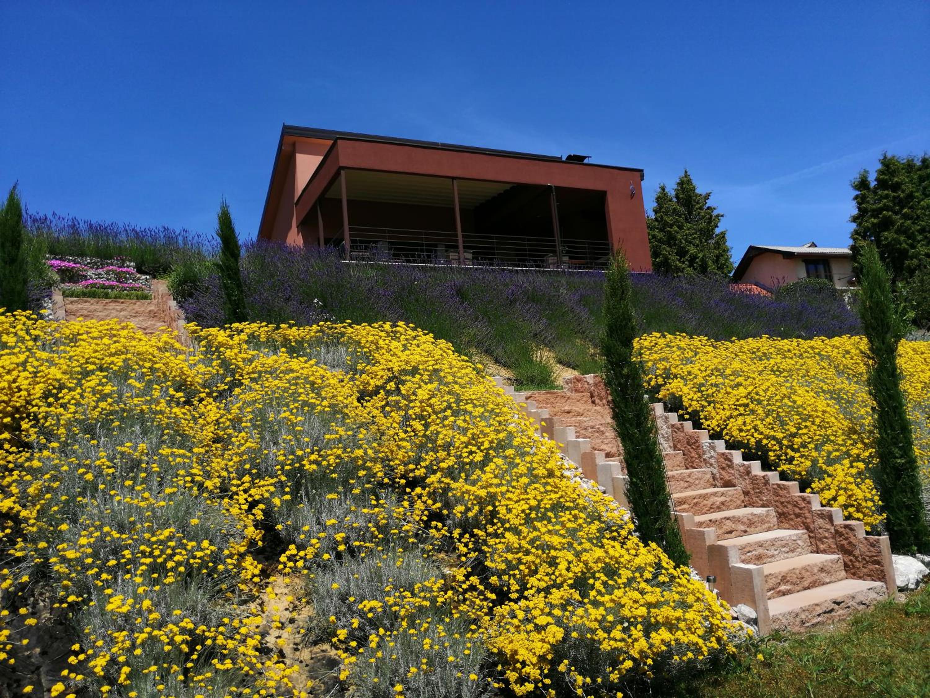 HillTop House