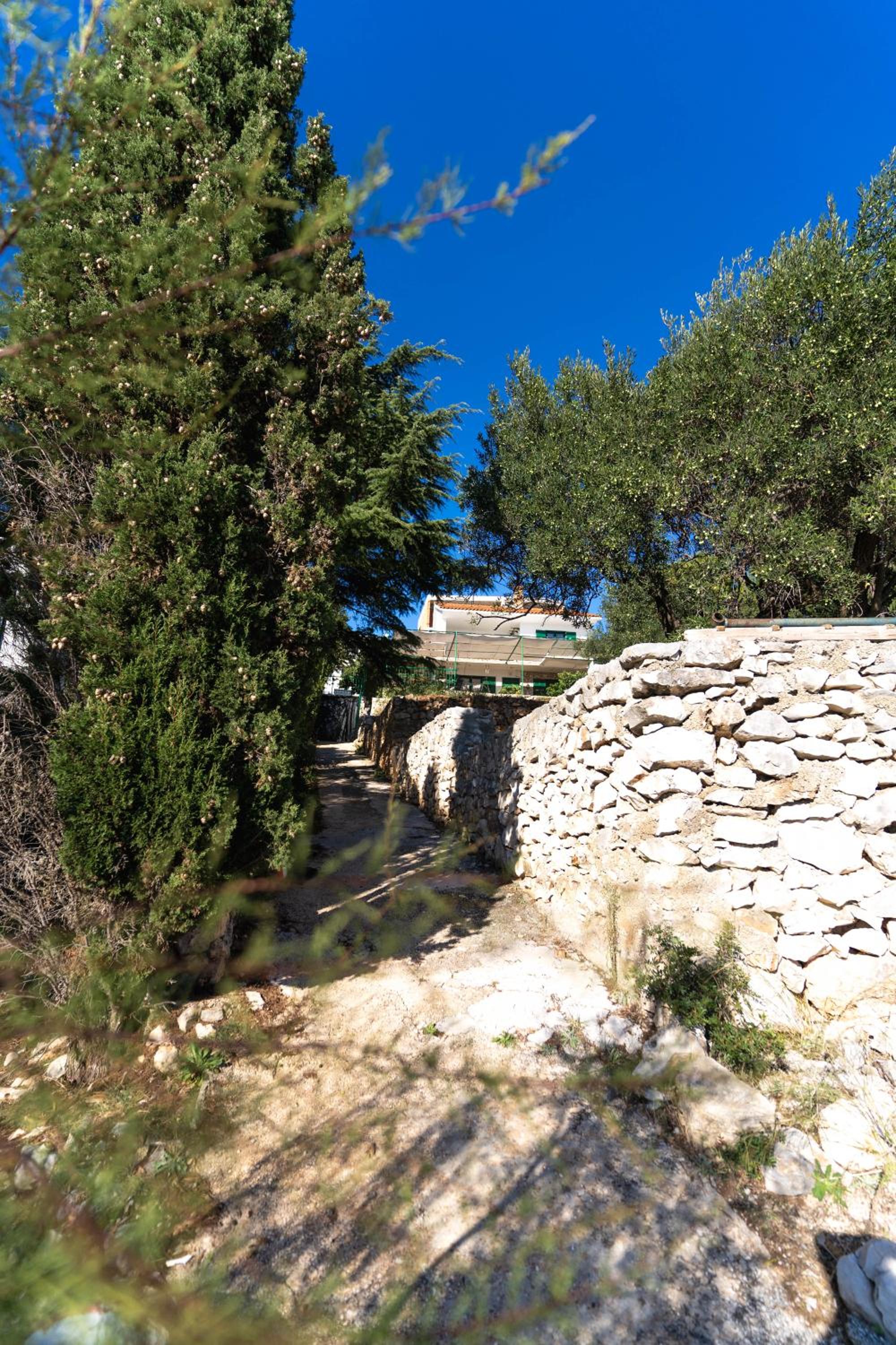 Photo 30
