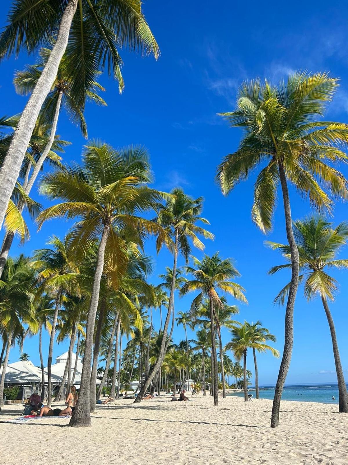 Le petit Nid de Maudette - Proche Plage Caravelle view 2
