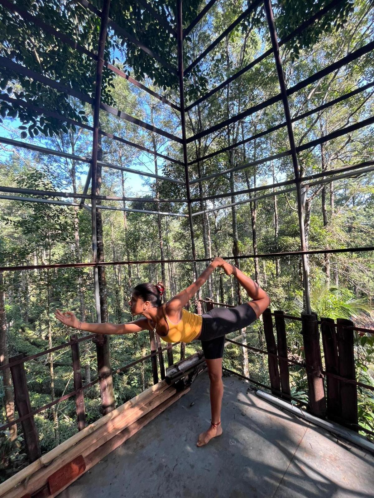 Jungle Tree House Munnar