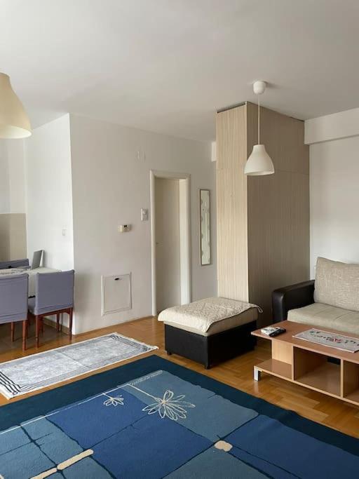 Apartment in Skopje view 5