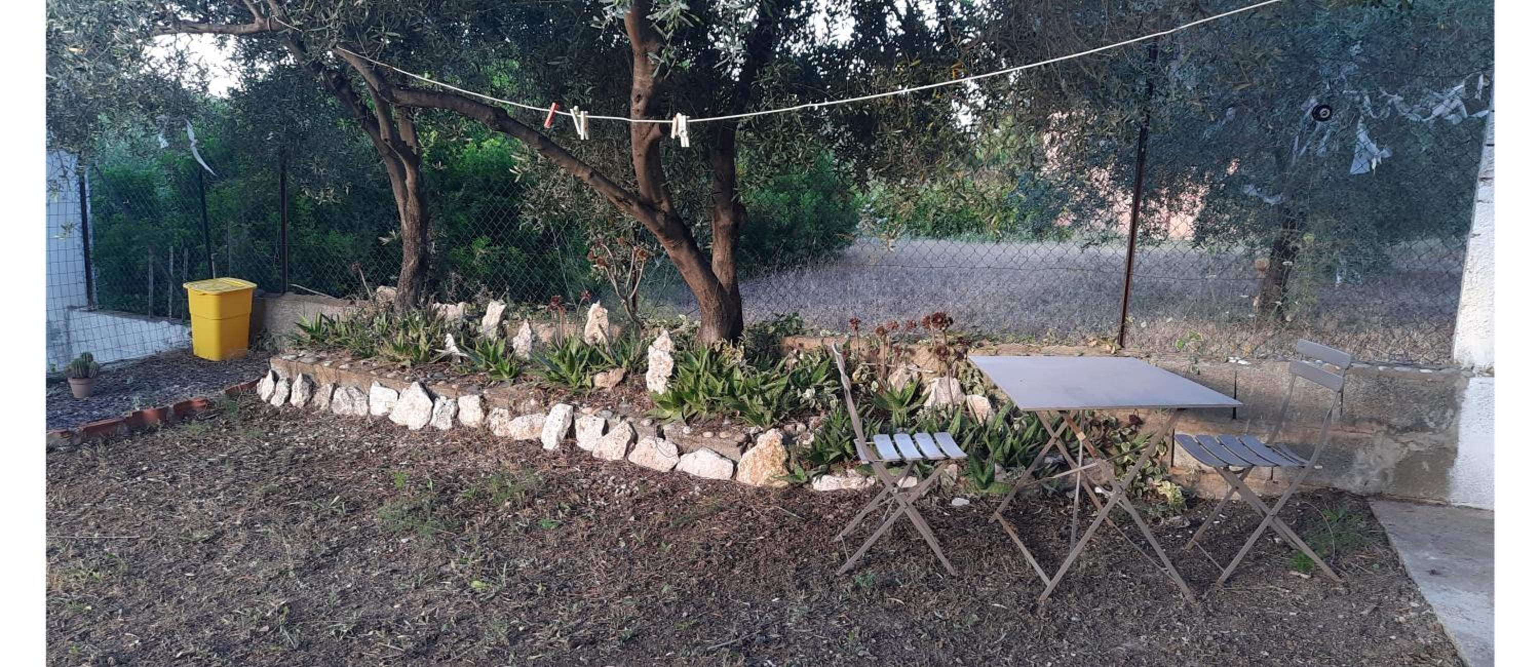 Photo 44