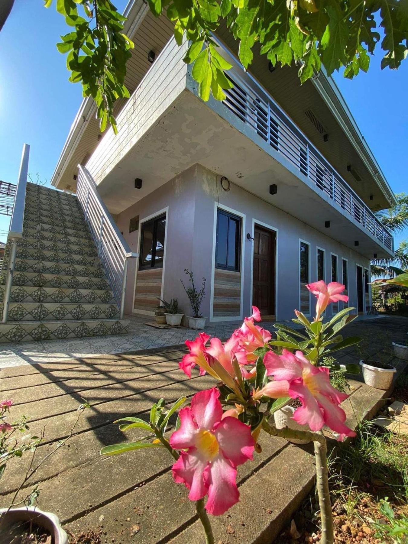 Hollanda Recidencia Homestay