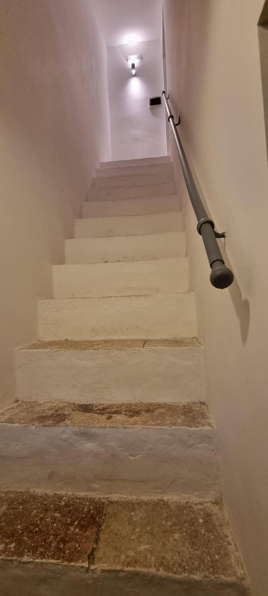 Photo 51