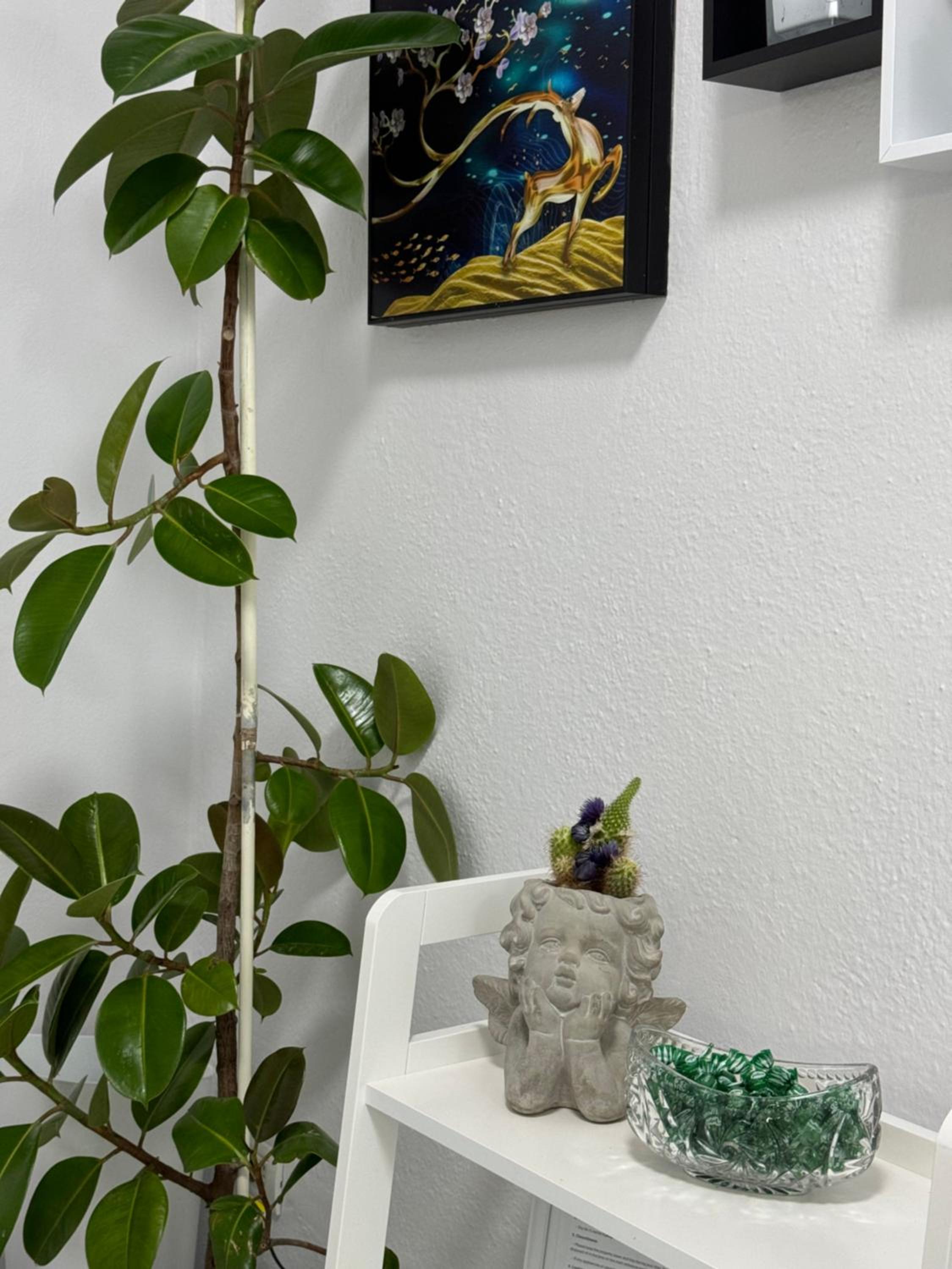 Angel's Studio Apartments
