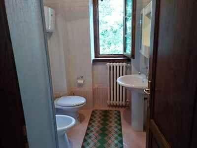 Photo 117
