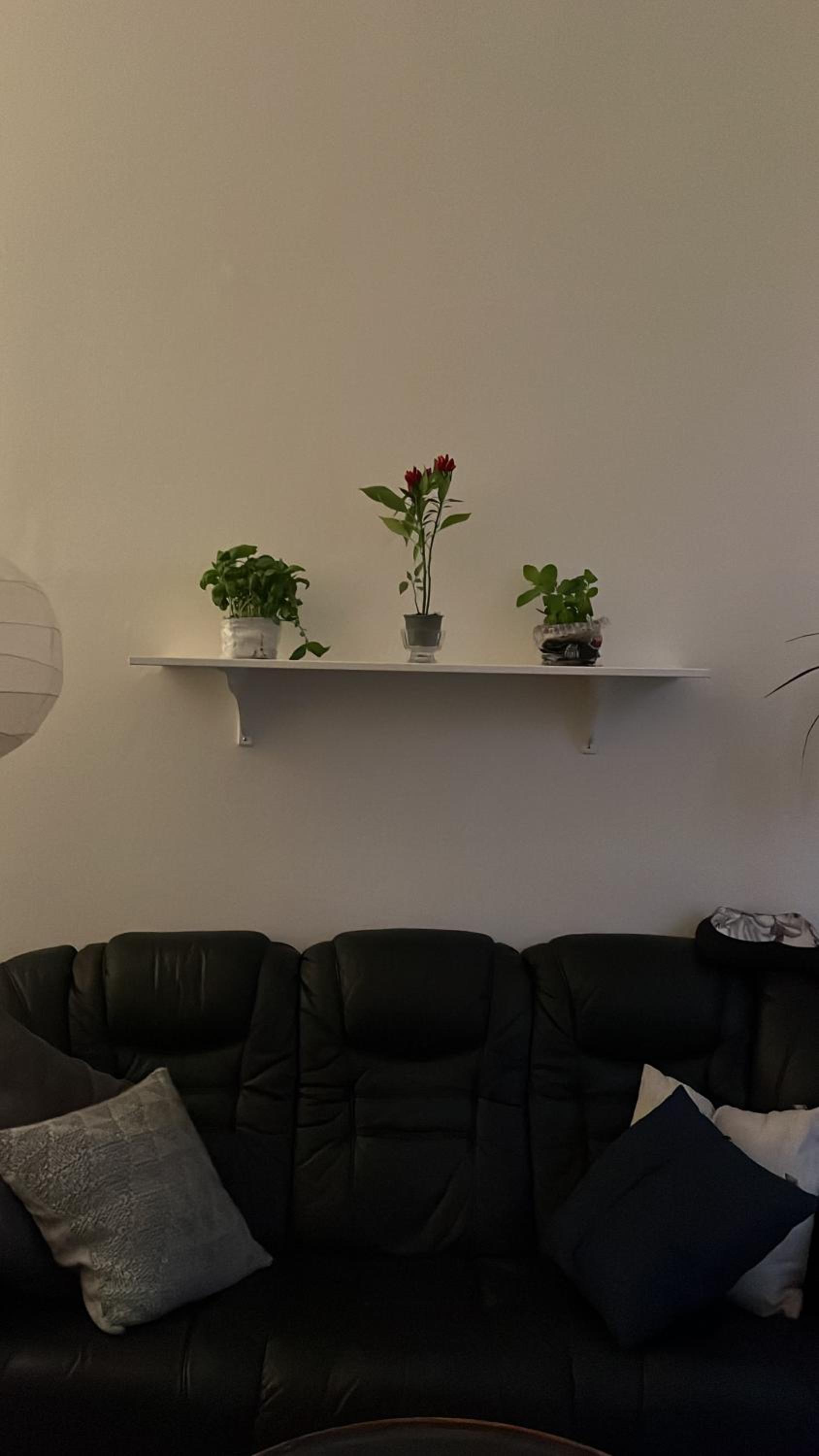 Retro apartment in Prague