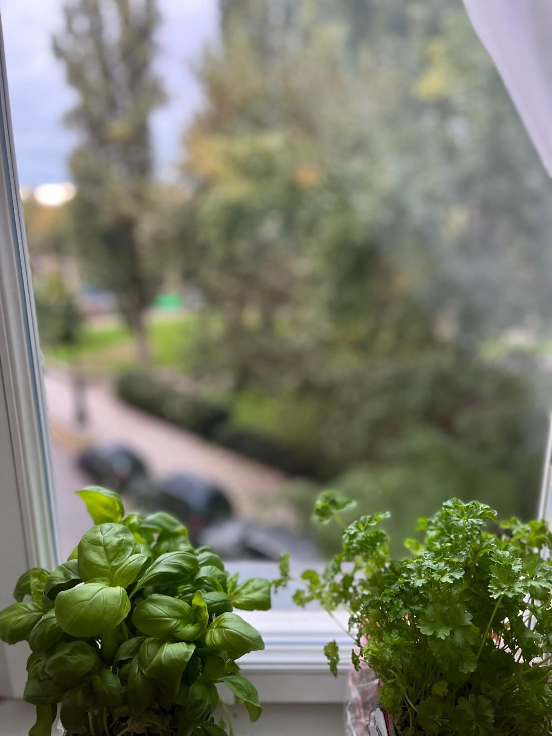 Retro apartment in Prague