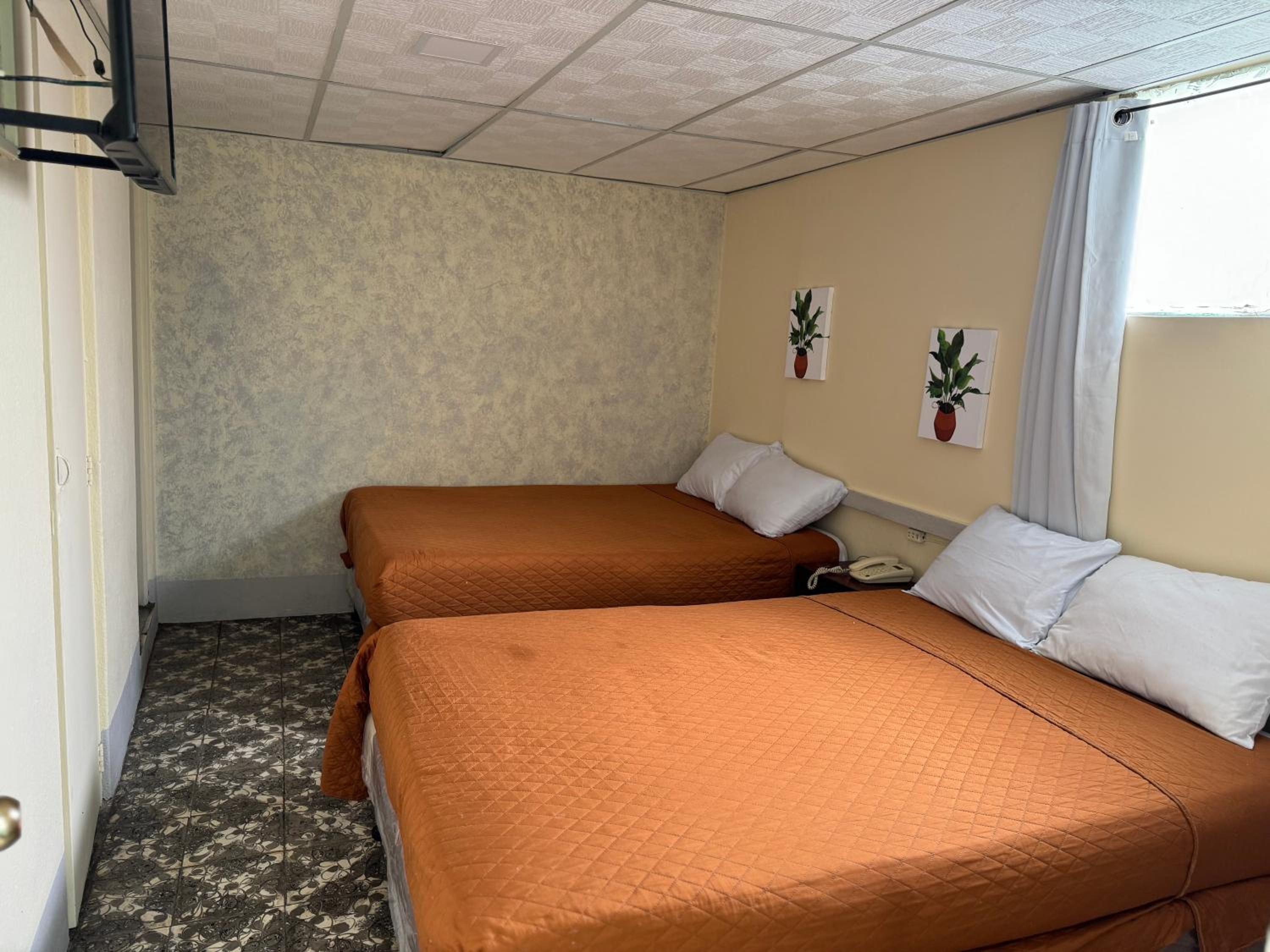 Hotel Mayesstic